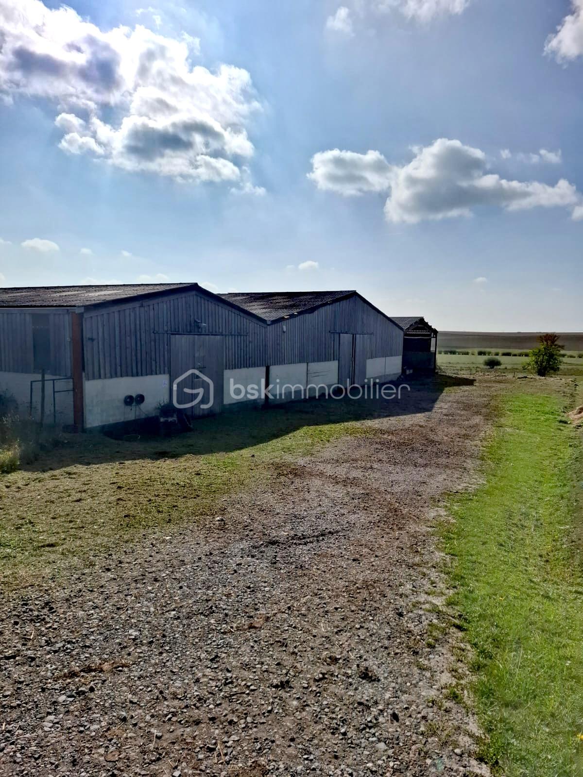 Propriete equestre de 2 112 m² - IMG_20251218_014851.jpg