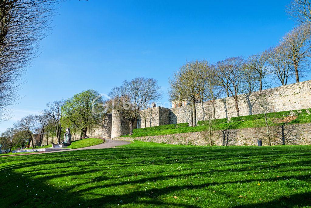 sarfati remparts.jpg