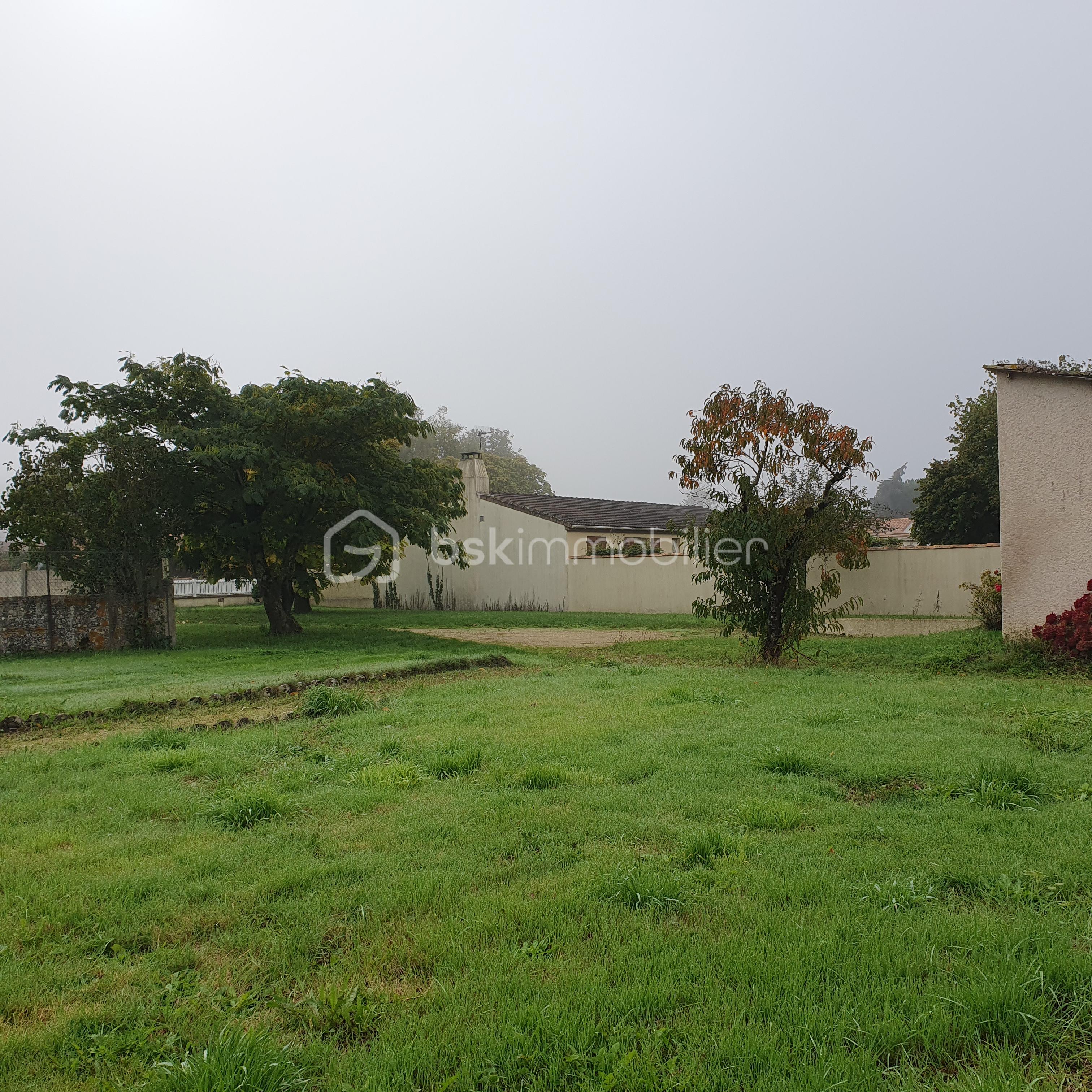 jardin.jpg