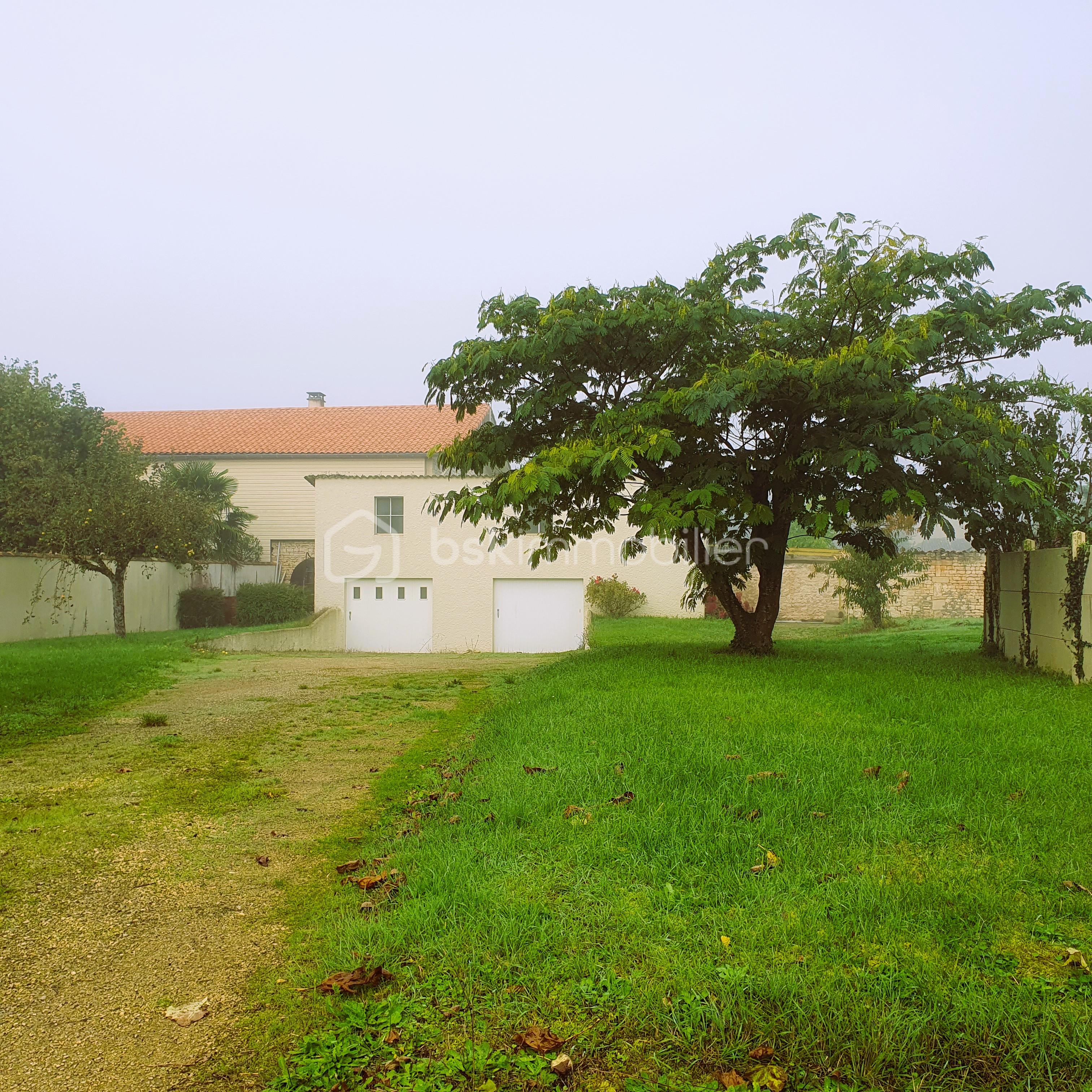 jardin 1.jpg