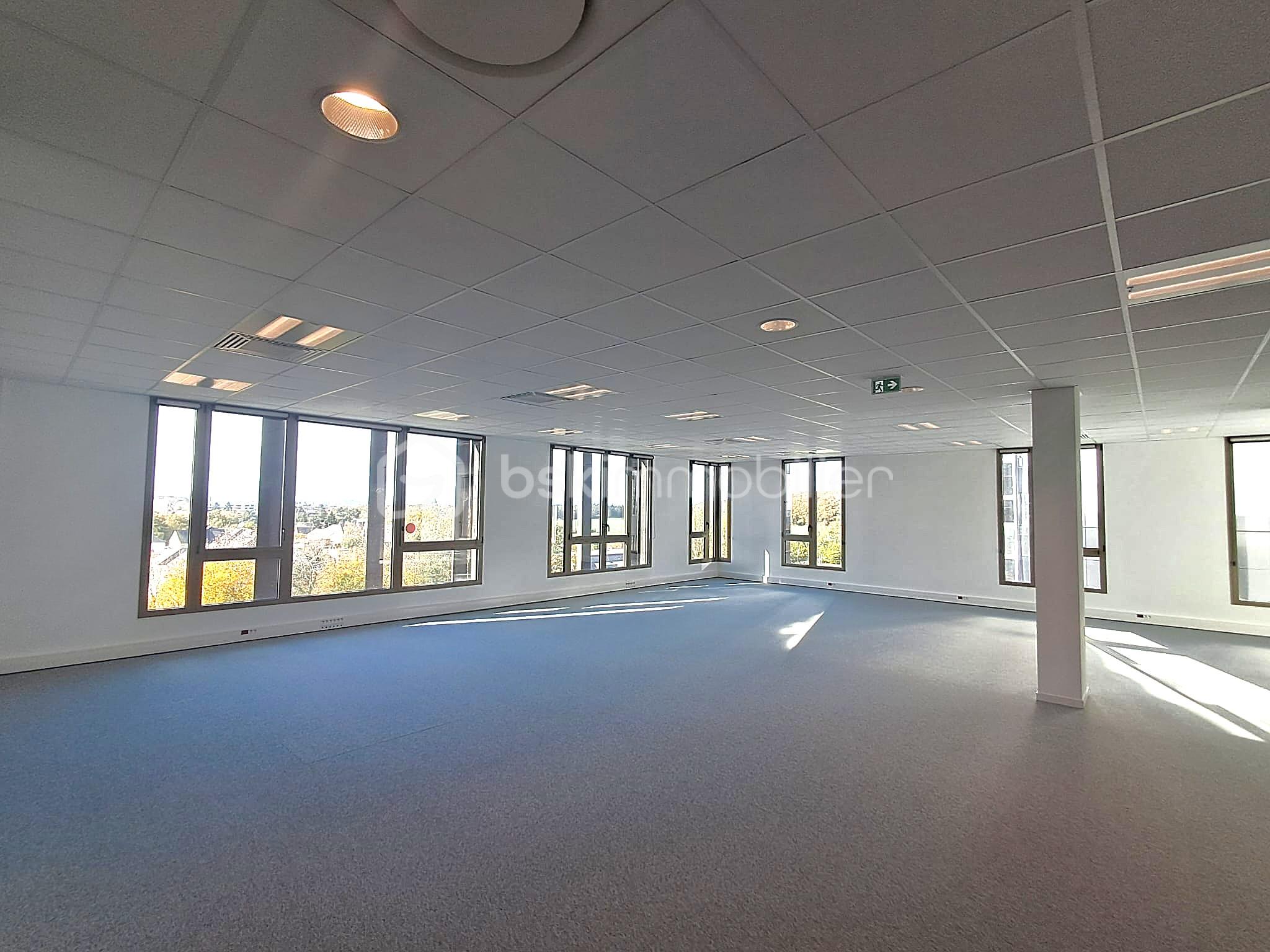 Bureau de 362,10 m² - Glimps interieur 6.jpeg