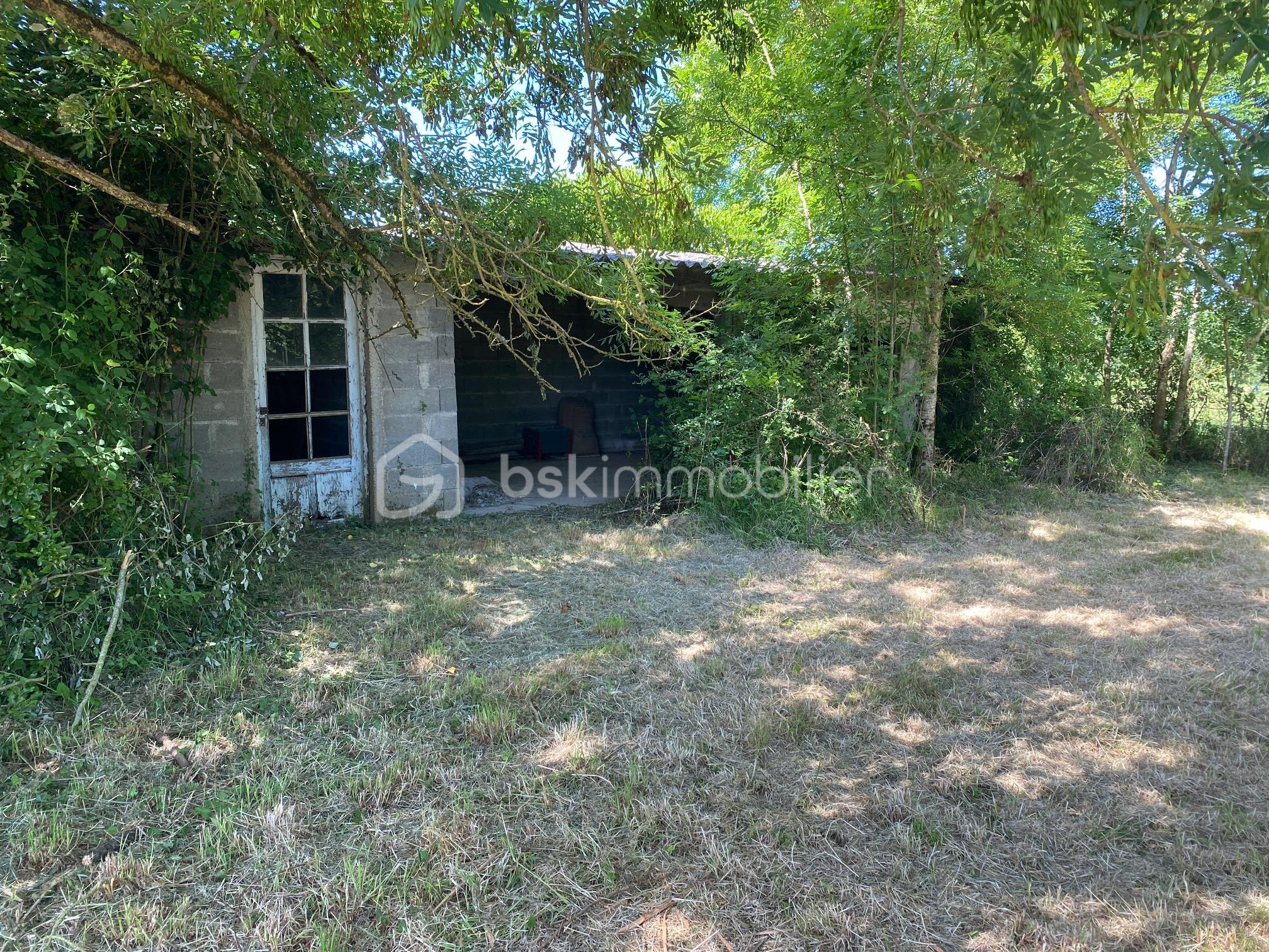 terrain rue du maine 7.JPG