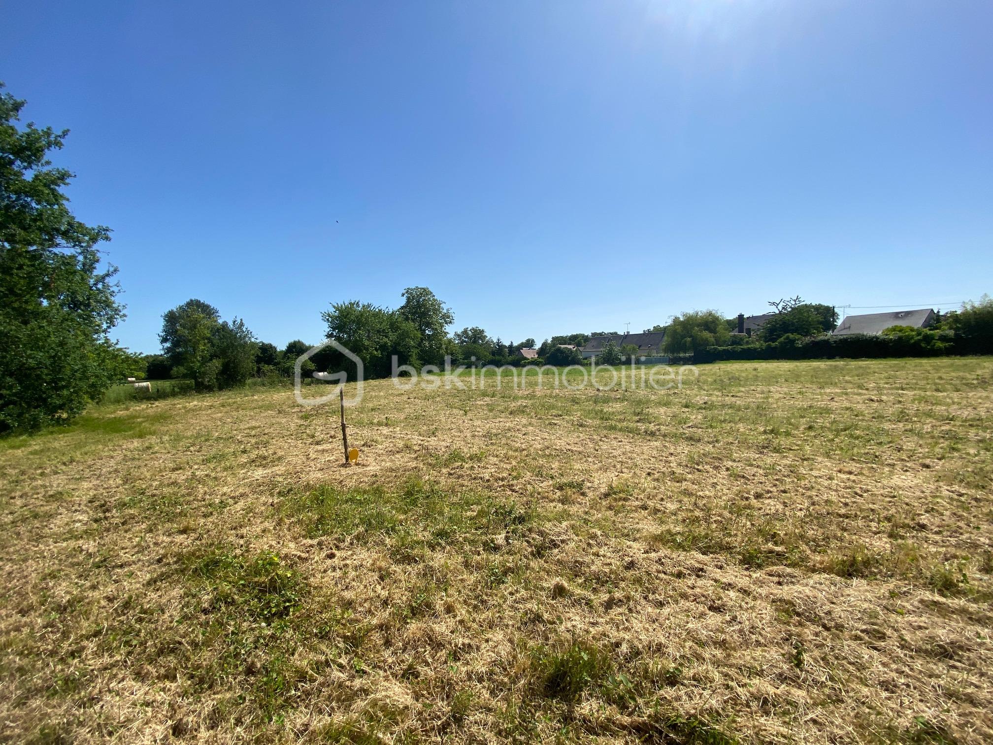 terrain rue du maine 5.JPG