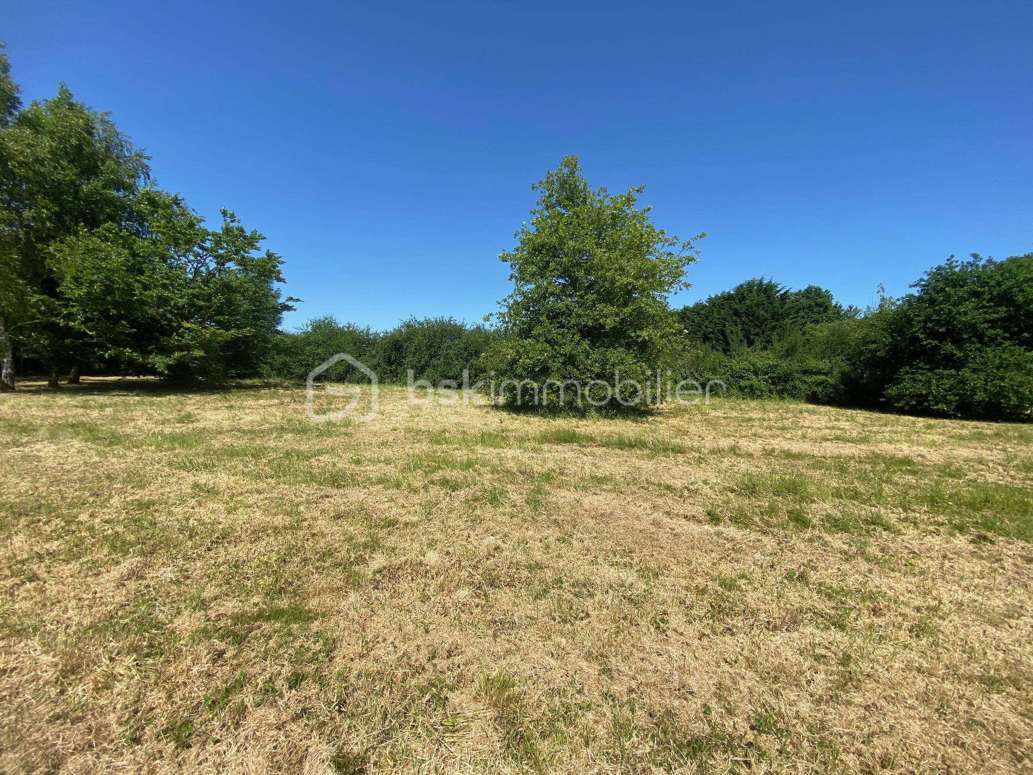 terrain rue du maine 4.JPG