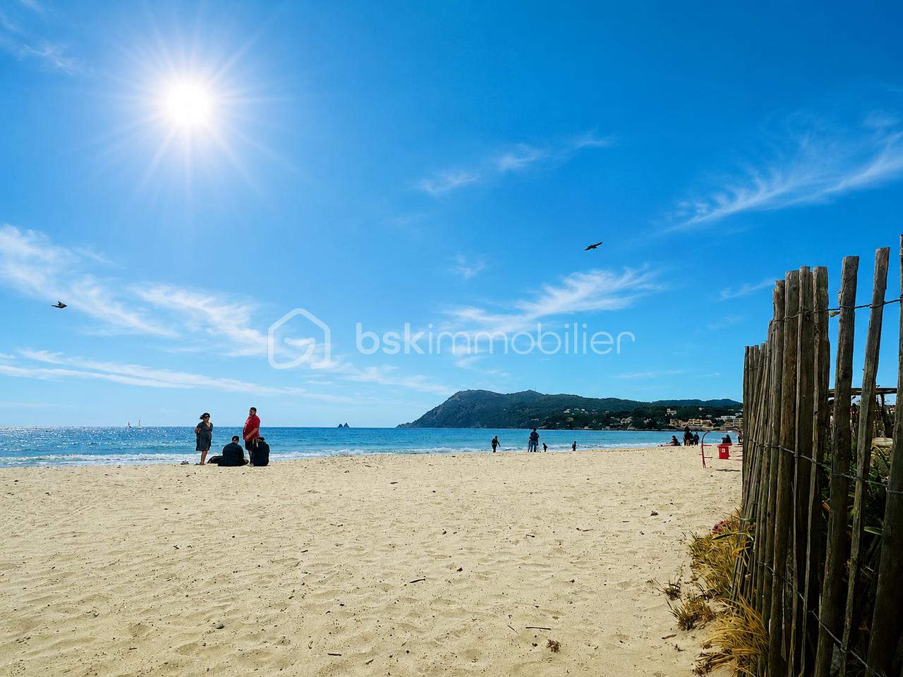 Plage .PNG