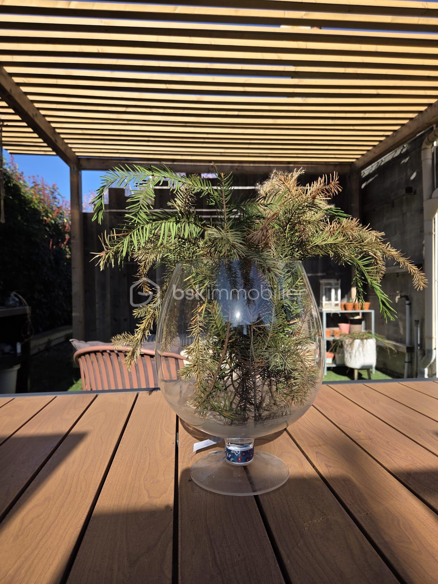 WhatsApp Image 2026-03-03 at 15.48.46 (11).jpeg