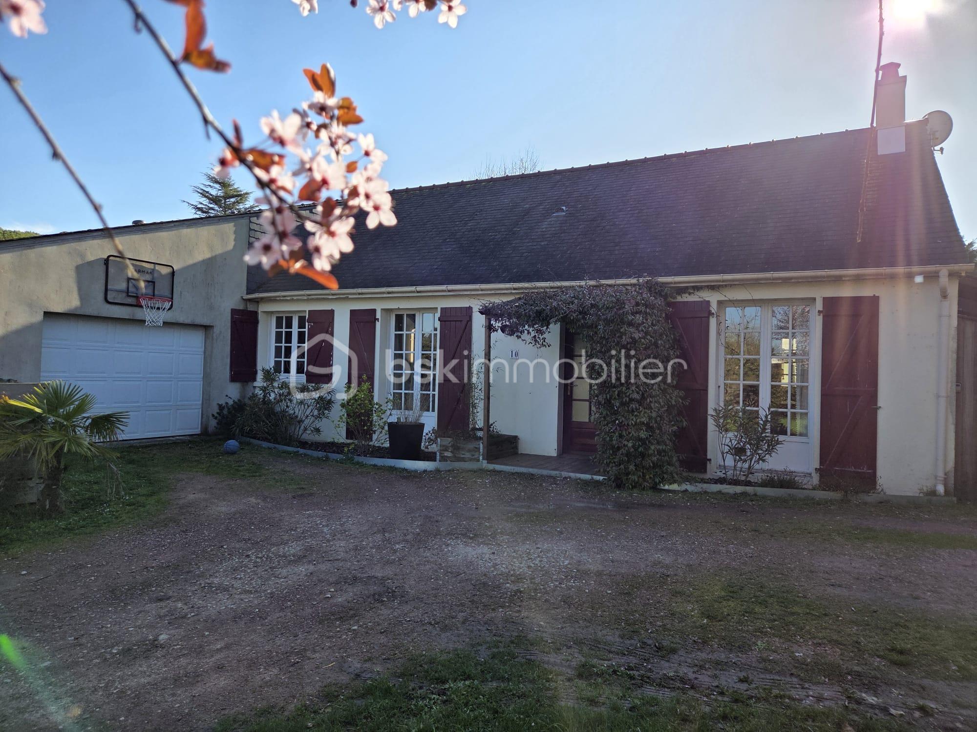 WhatsApp Image 2026-03-03 at 15.48.46 (17).jpeg