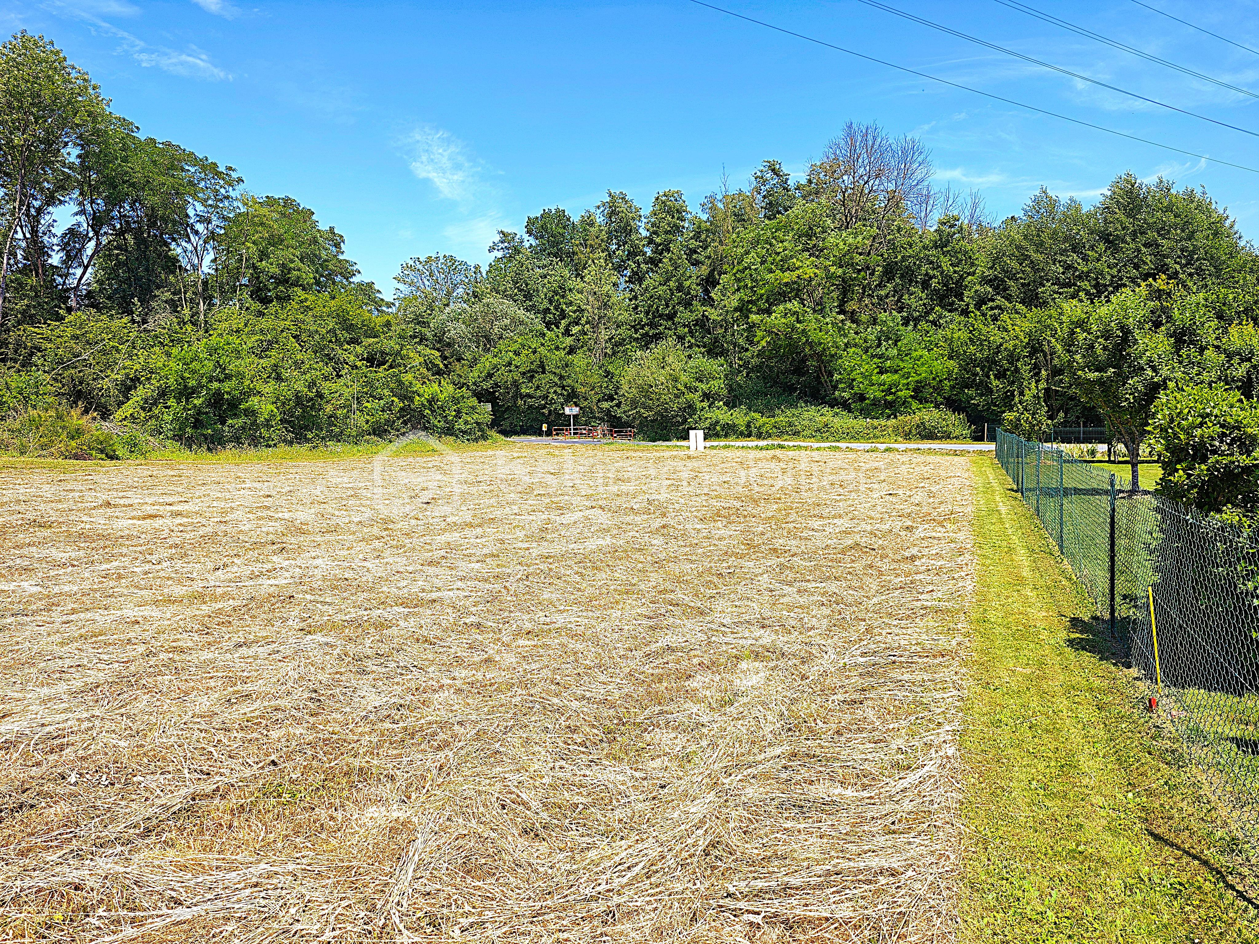 1050 m2.jpg