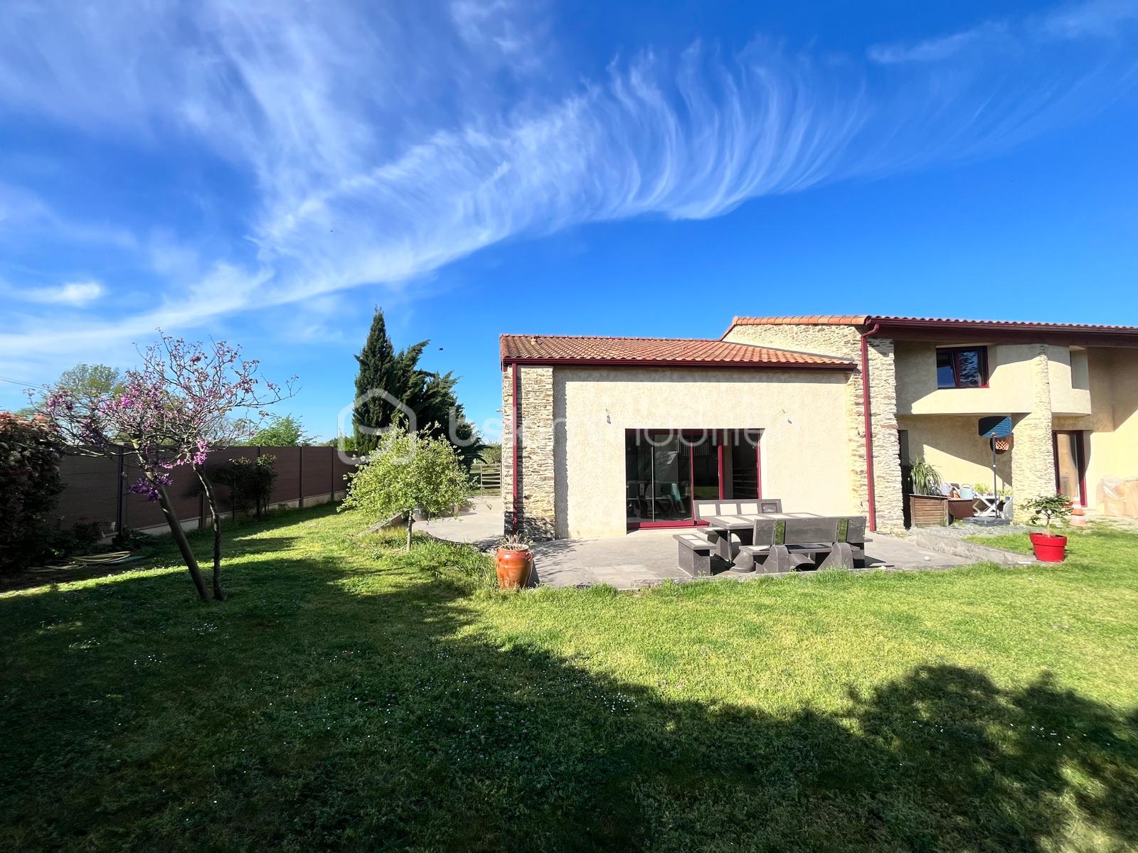 WhatsApp Image 2026-04-09 at 17.51.28 (17).jpeg