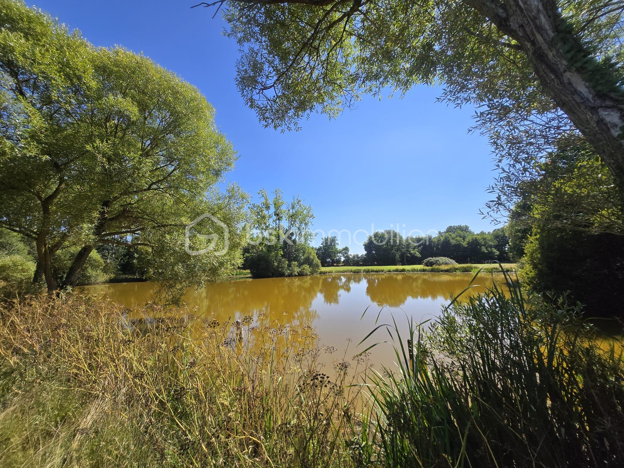 Terrain de loisirs de 45 907,99 m² - IMG-20250711-WA0012.jpg