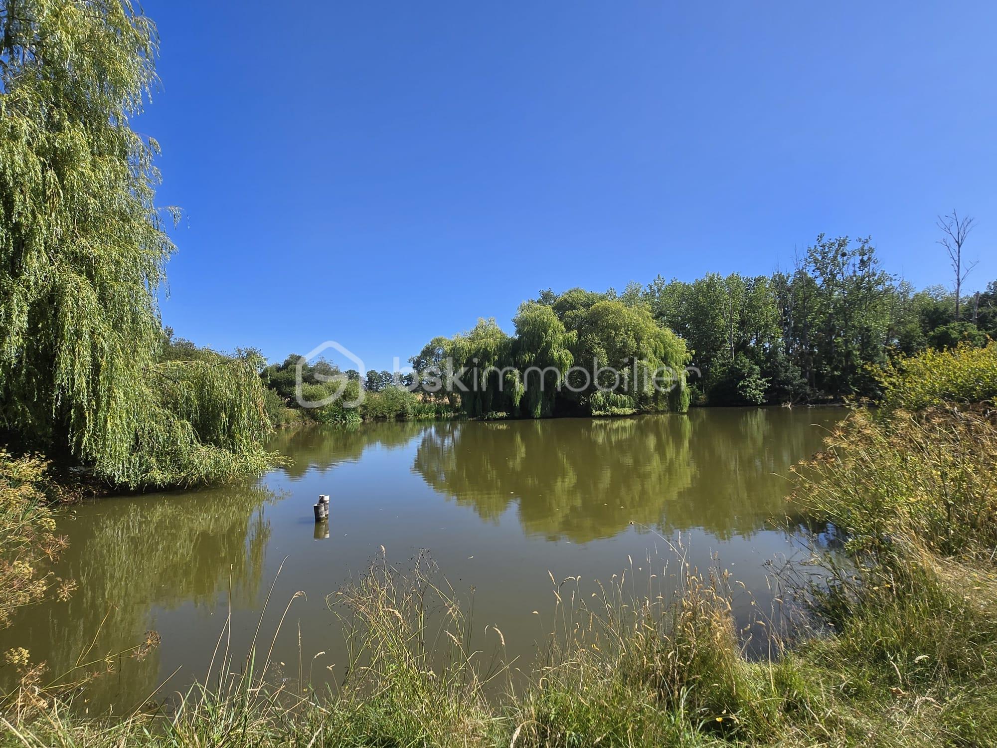 Terrain de loisirs de 45 907,99 m² - IMG-20250711-WA0009.jpg