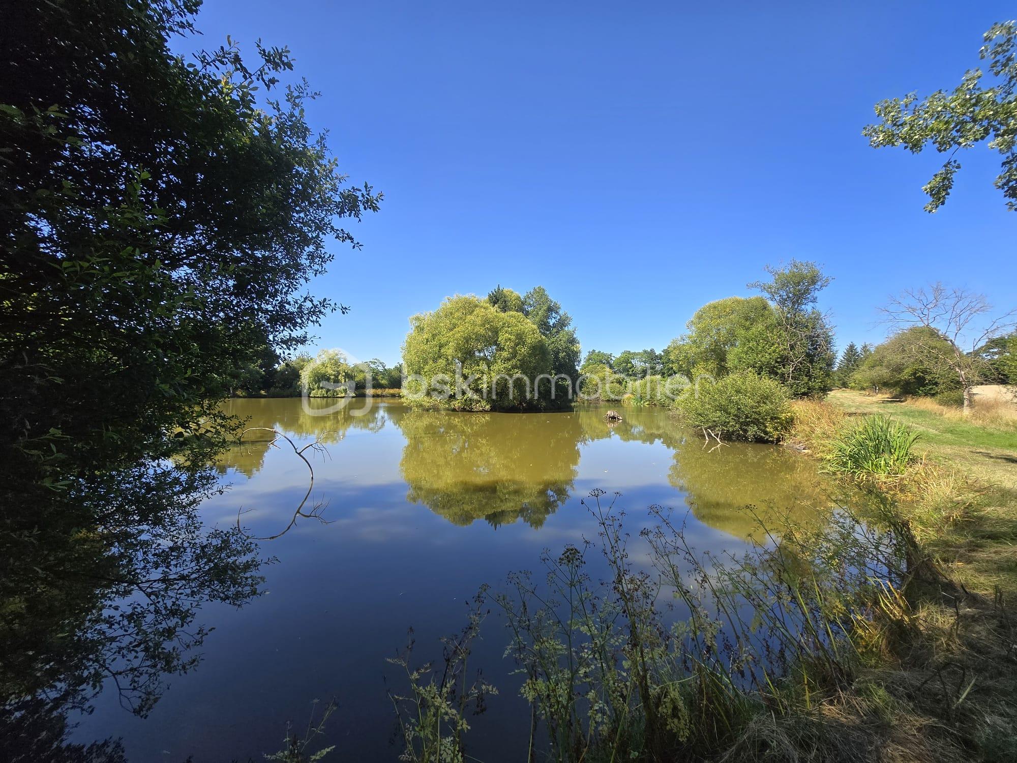 Terrain de loisirs de 45 907,99 m² - IMG-20250711-WA0005.jpg