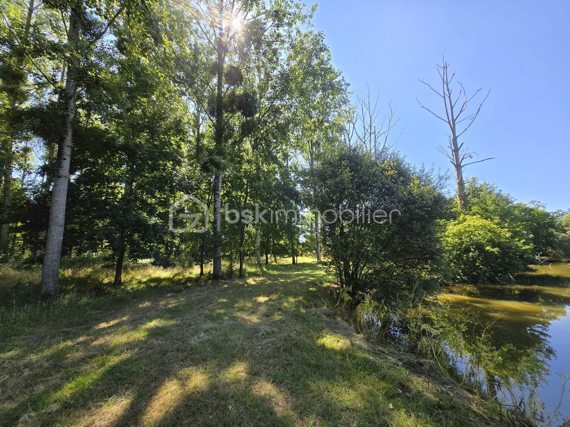 Terrain de loisirs de 45 907,99 m² - IMG-20250711-WA0007.jpg