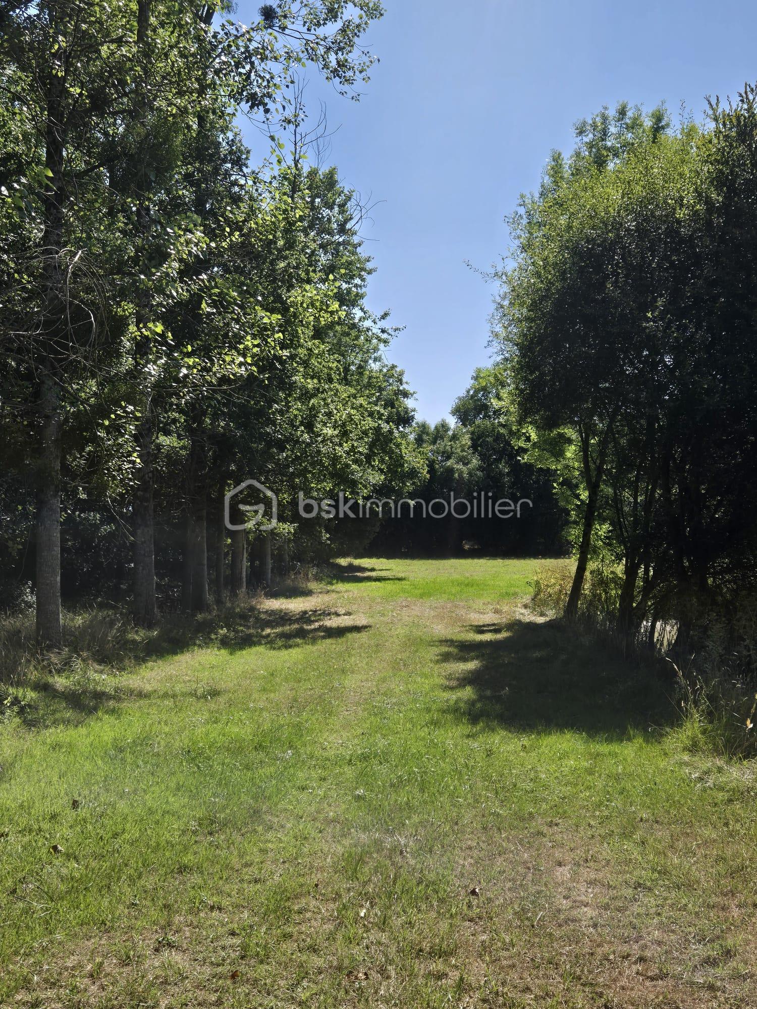 Terrain de loisirs de 45 907,99 m² - IMG-20250711-WA0008.jpg