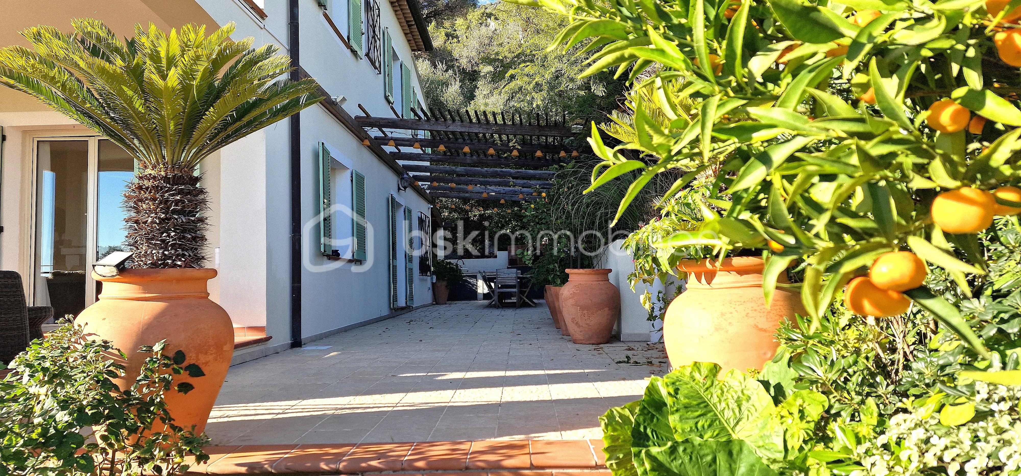 Maison traditionnelle de 241,69 m² - 20251118_144828.jpg