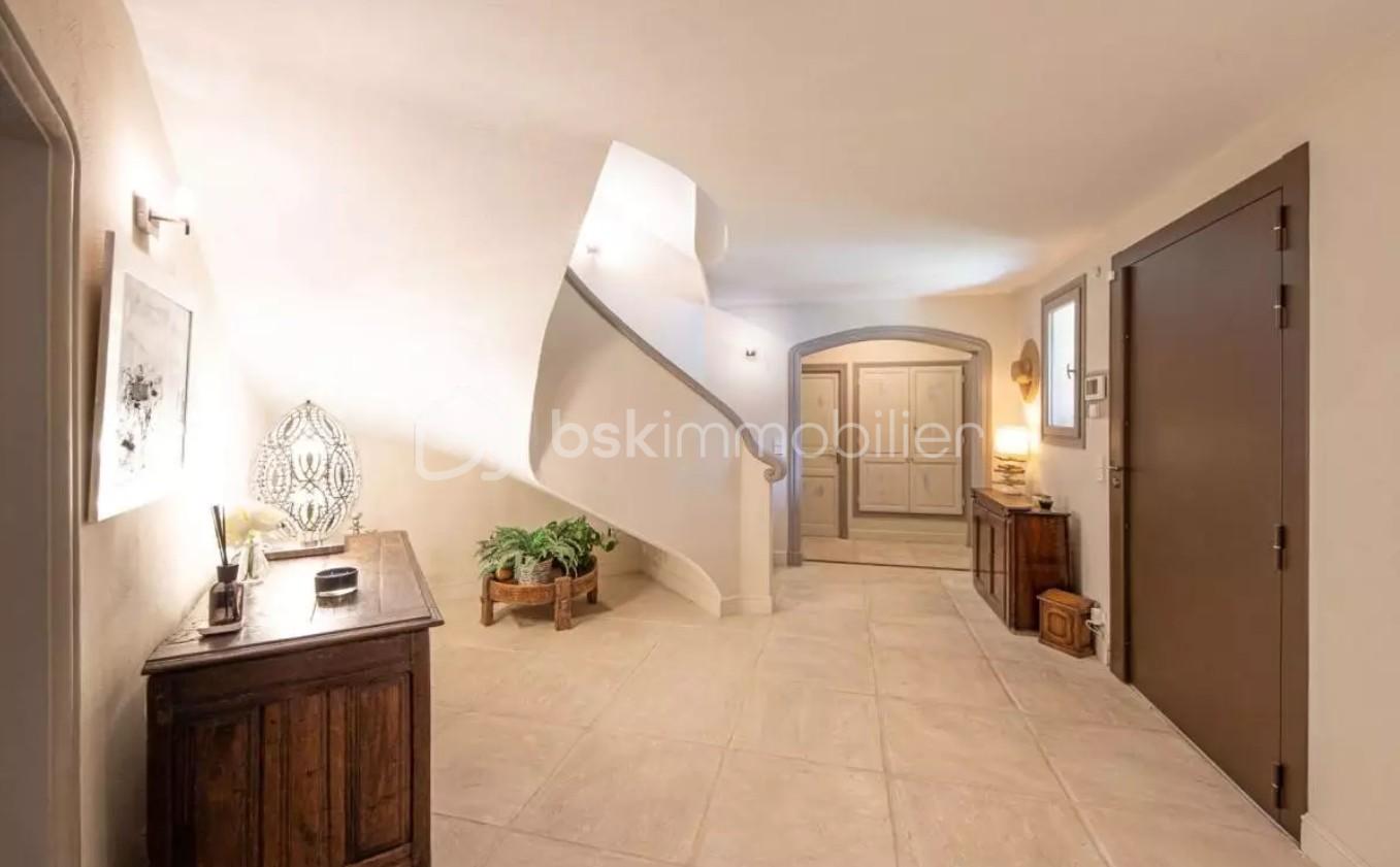 Maison provencale de 490 m² - ENTREE .jpg