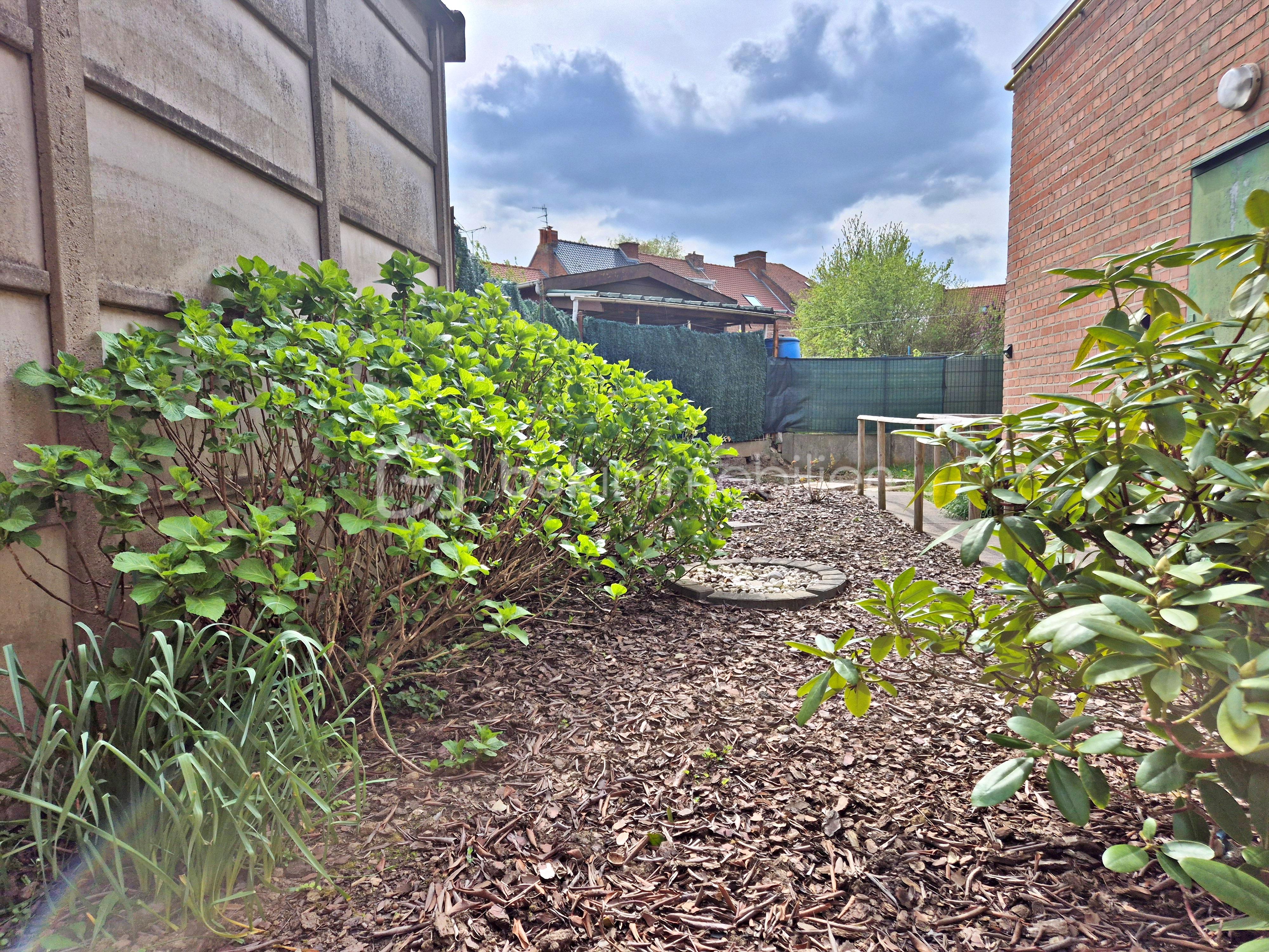 jardin nouveau.jpg
