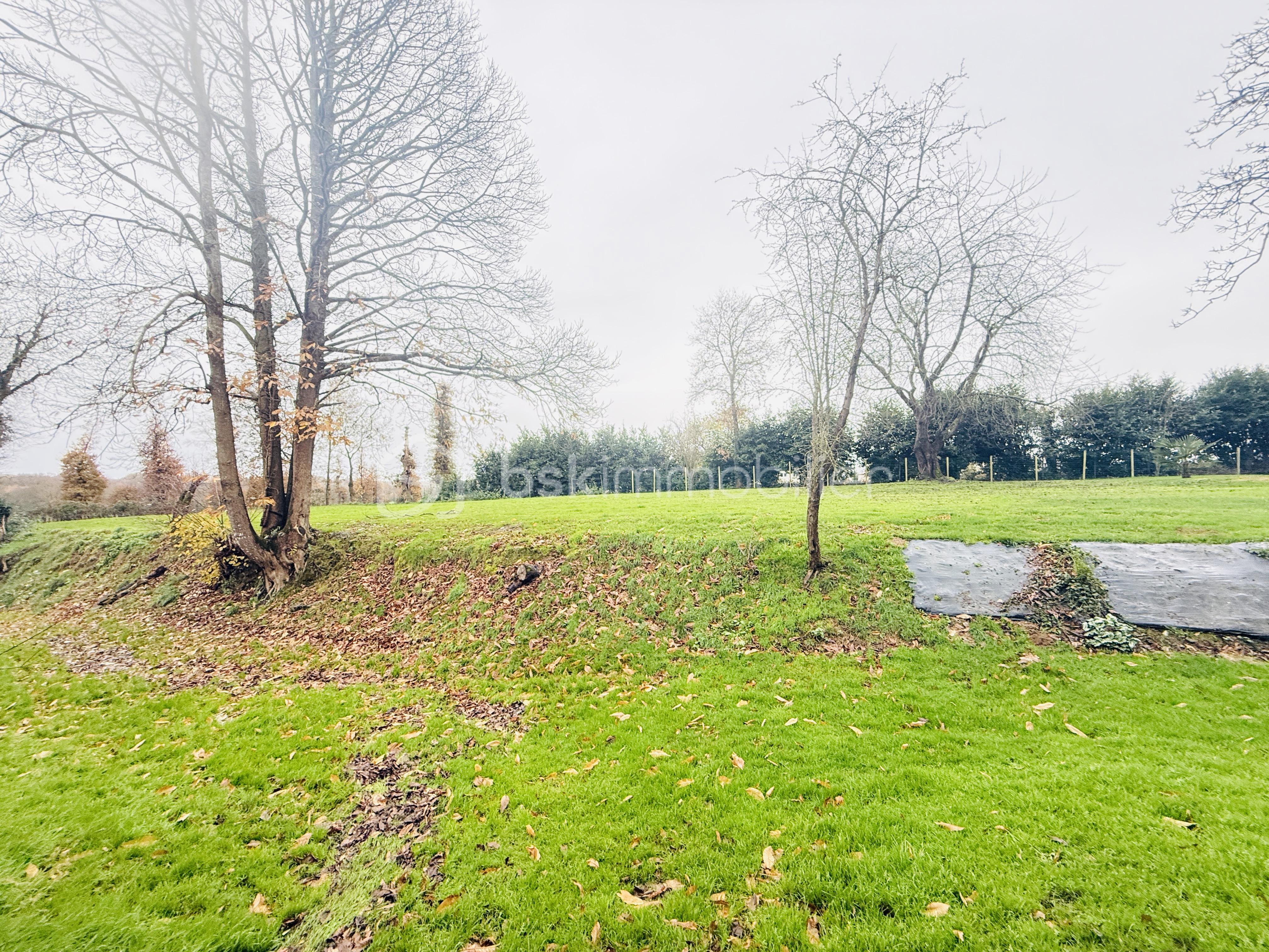 Maison de 296 m² - IMG_8450.jpg