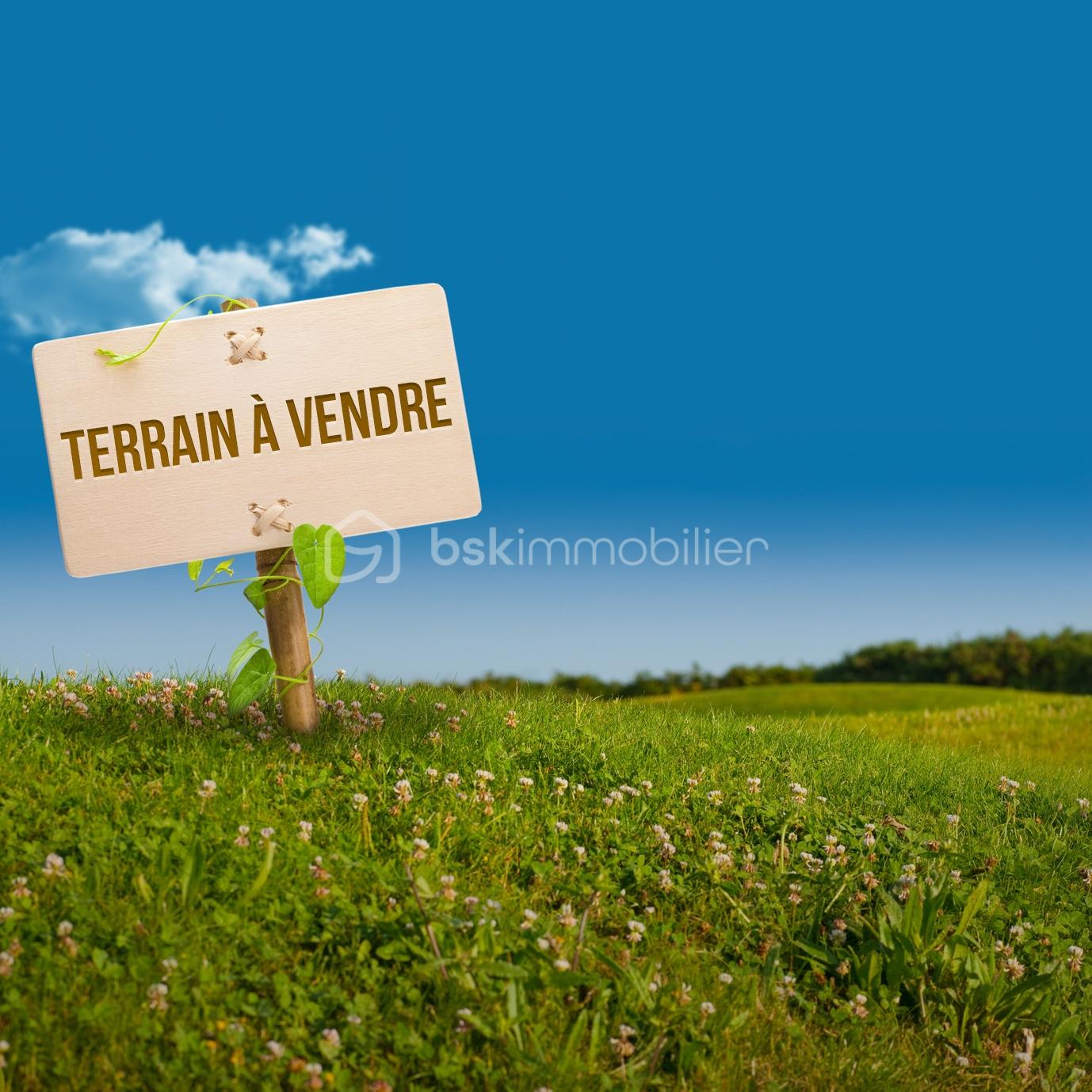 TERRAIN A VENDRE 1.jpg