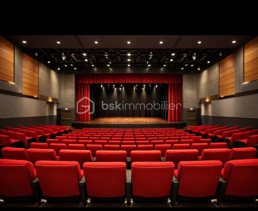 Salle de spectacle.jpg