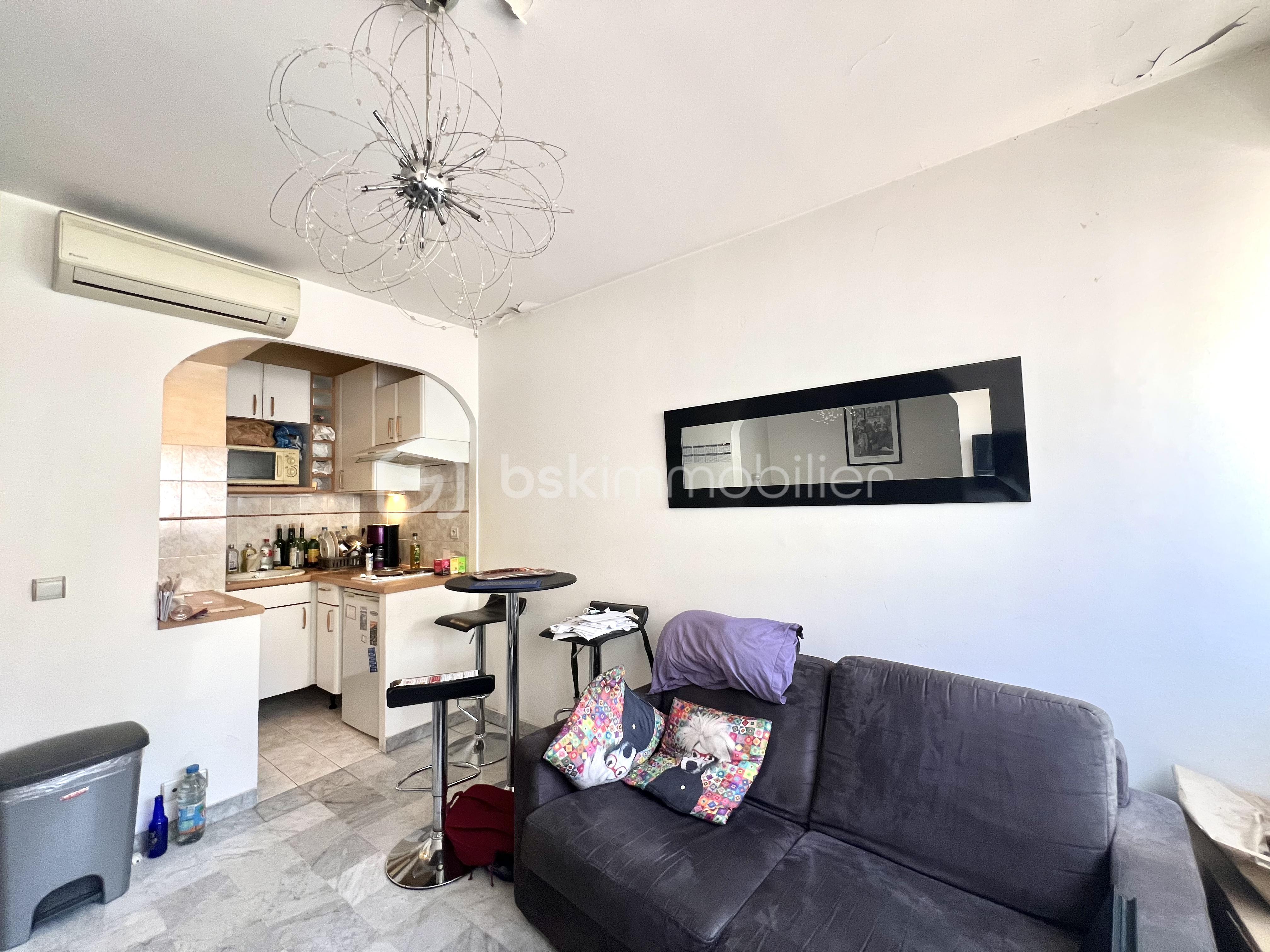 Appartement de 26,22 m² - tempImageA8JRPV.png