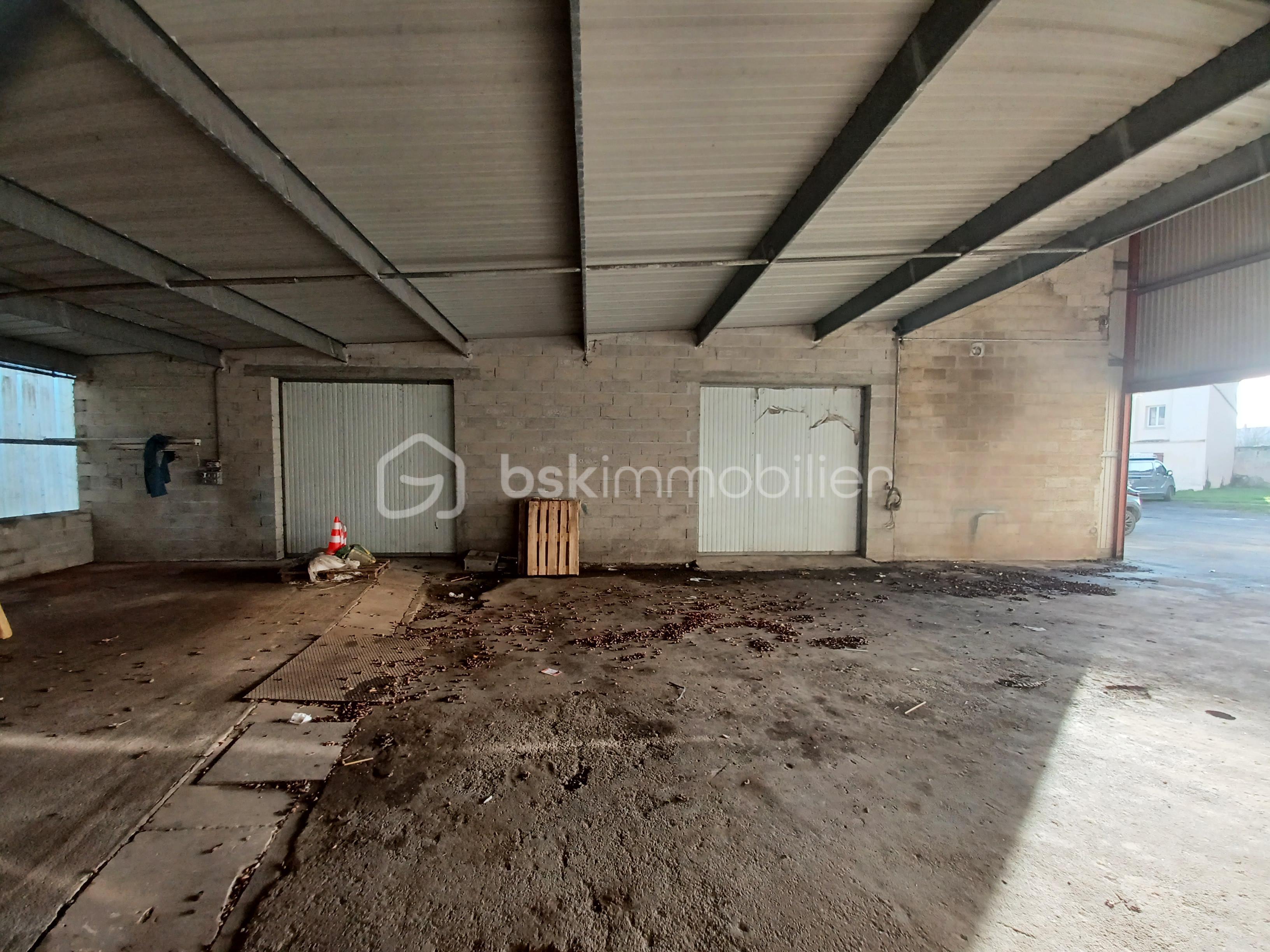 Immeuble de 5 870 m² - 20240105_103142.jpg
