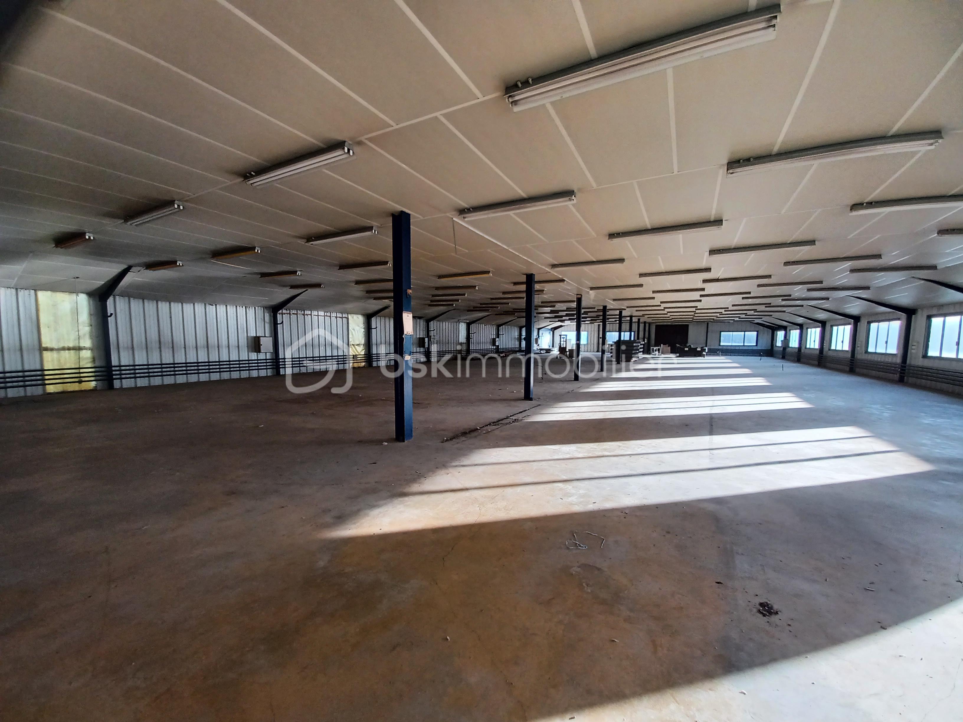 Immeuble de 5 870 m² - 20240105_101212.jpg