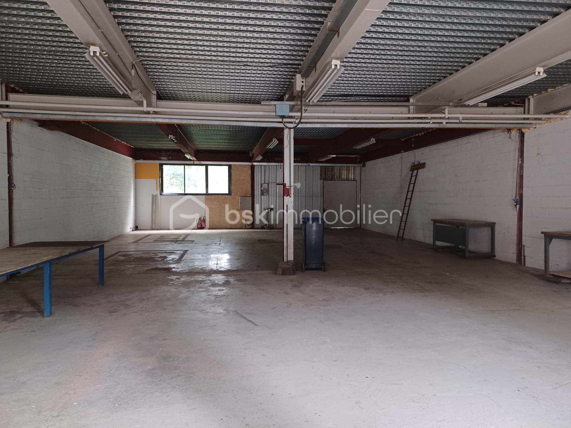Immeuble de 5 870 m² - 20240617_101126.jpg