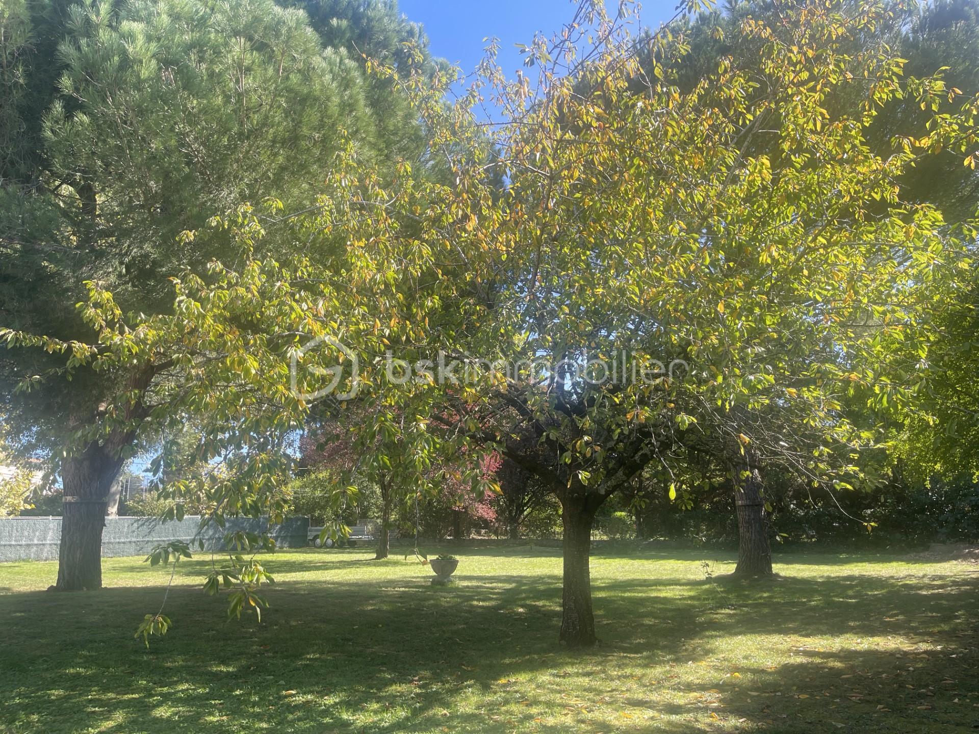 Terrain de 991 m² - thumbnail_IMG_3412.jpg