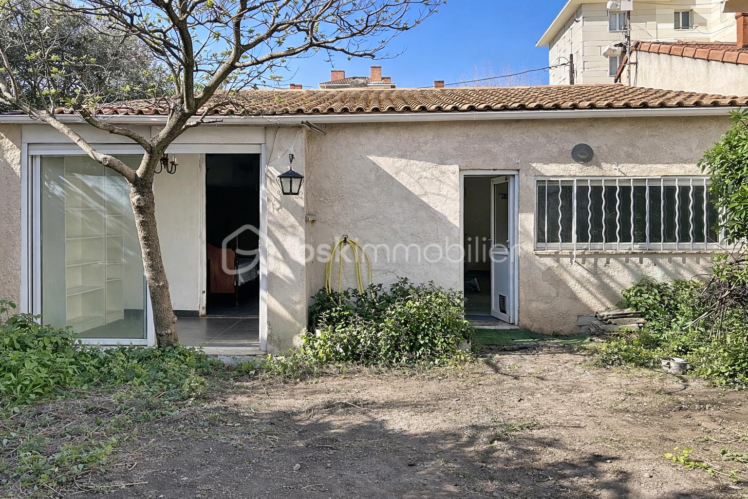 Arrière-cour d'une maison ensoleillée.png