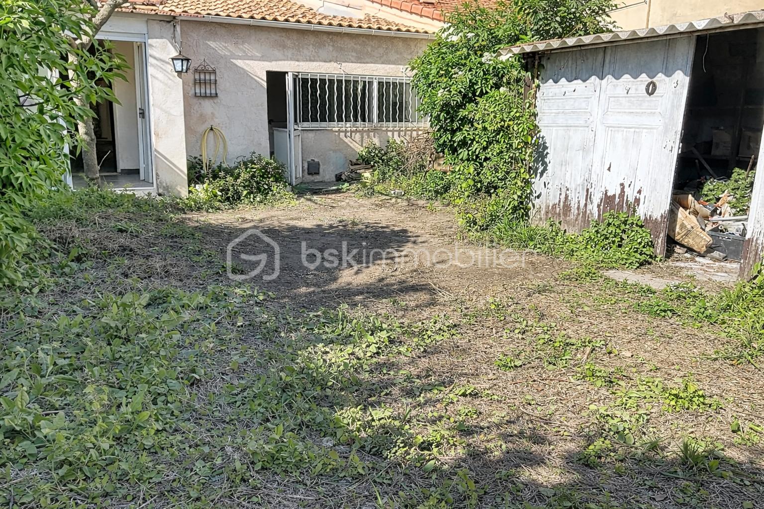 Jardin en friche avec cabanon vieux.png