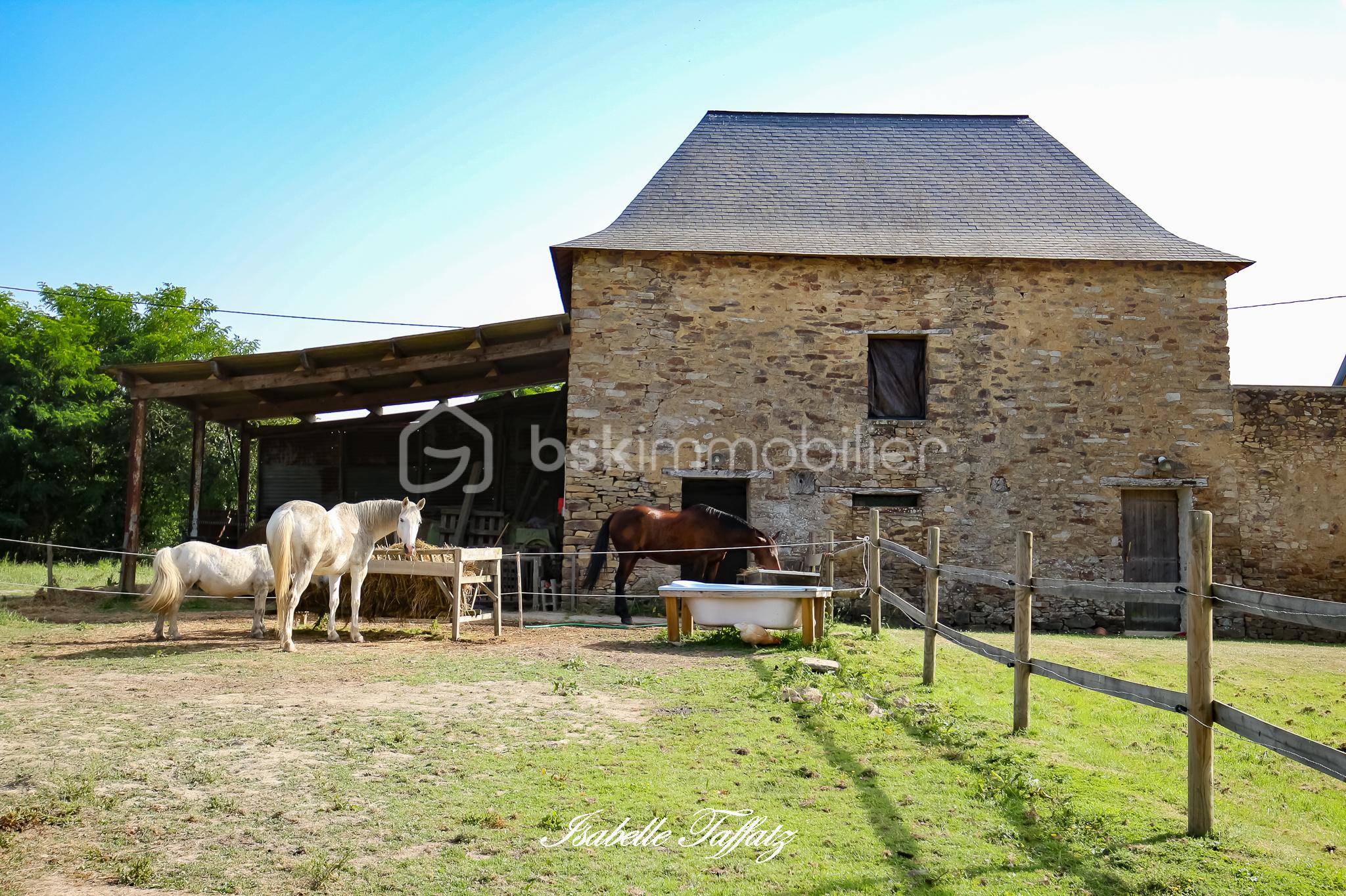 Propriete de 186,50 m² - IMG_5390.jpg
