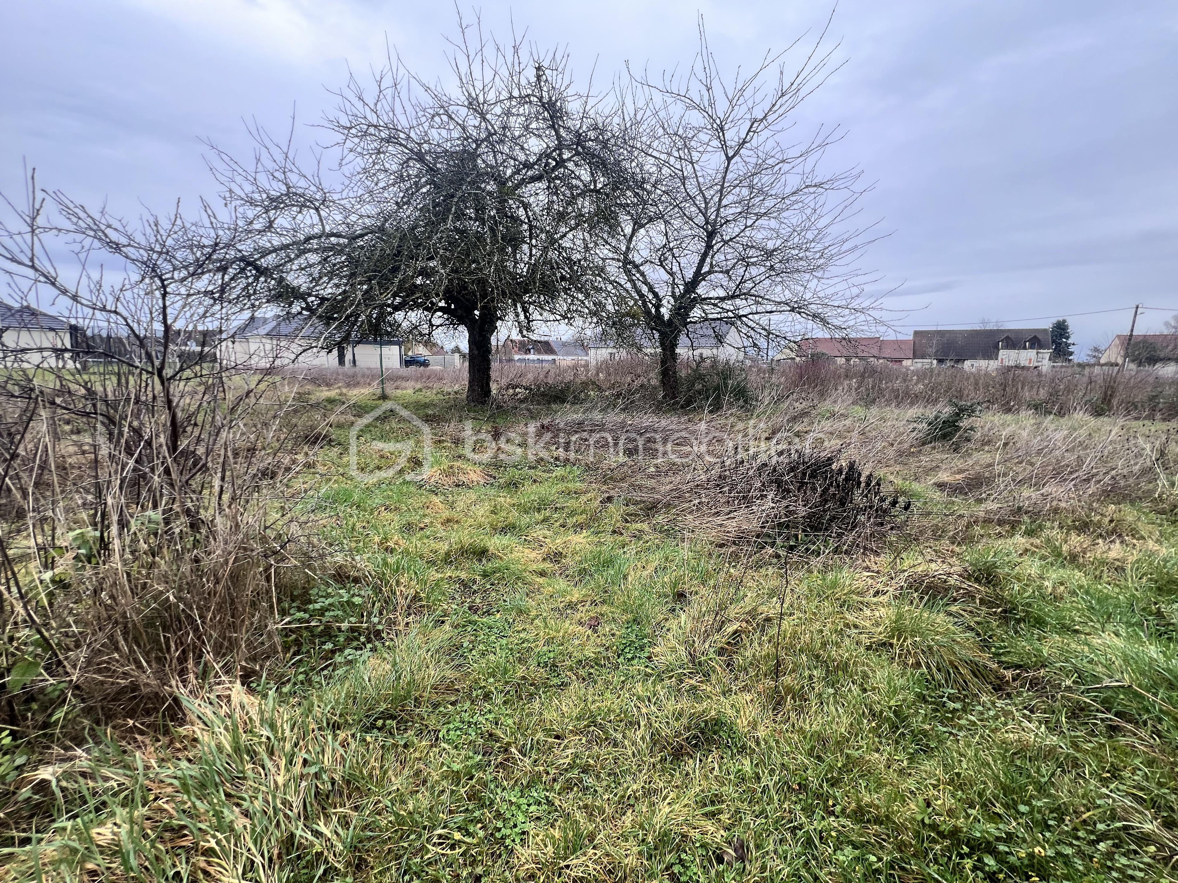 Maison de 76,45 m² - IMG_3501.jpeg