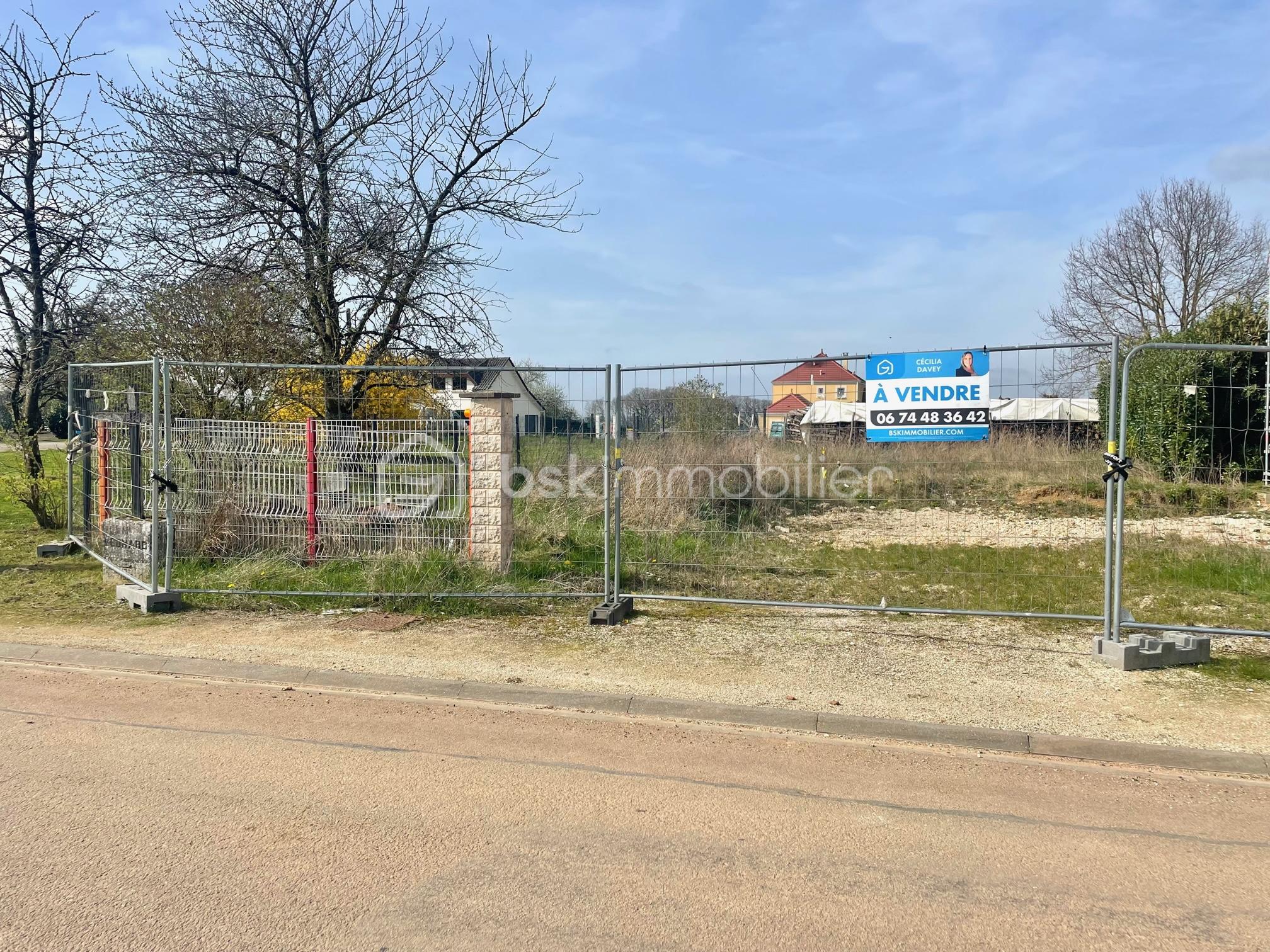 Terrain de 451 m² - IMG_6737.jpg