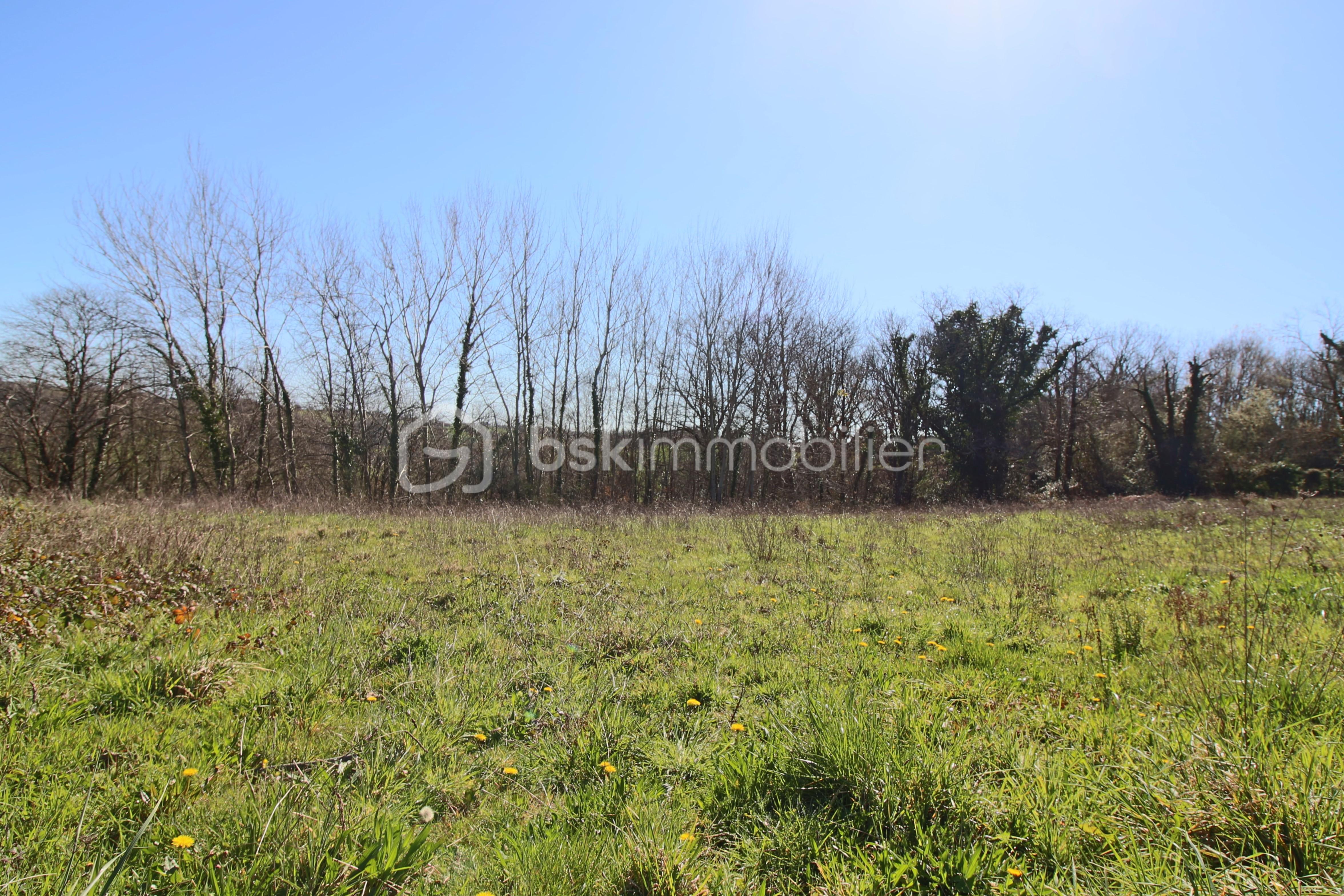 Terrain de 1 401 m² - IMG_2359.JPG