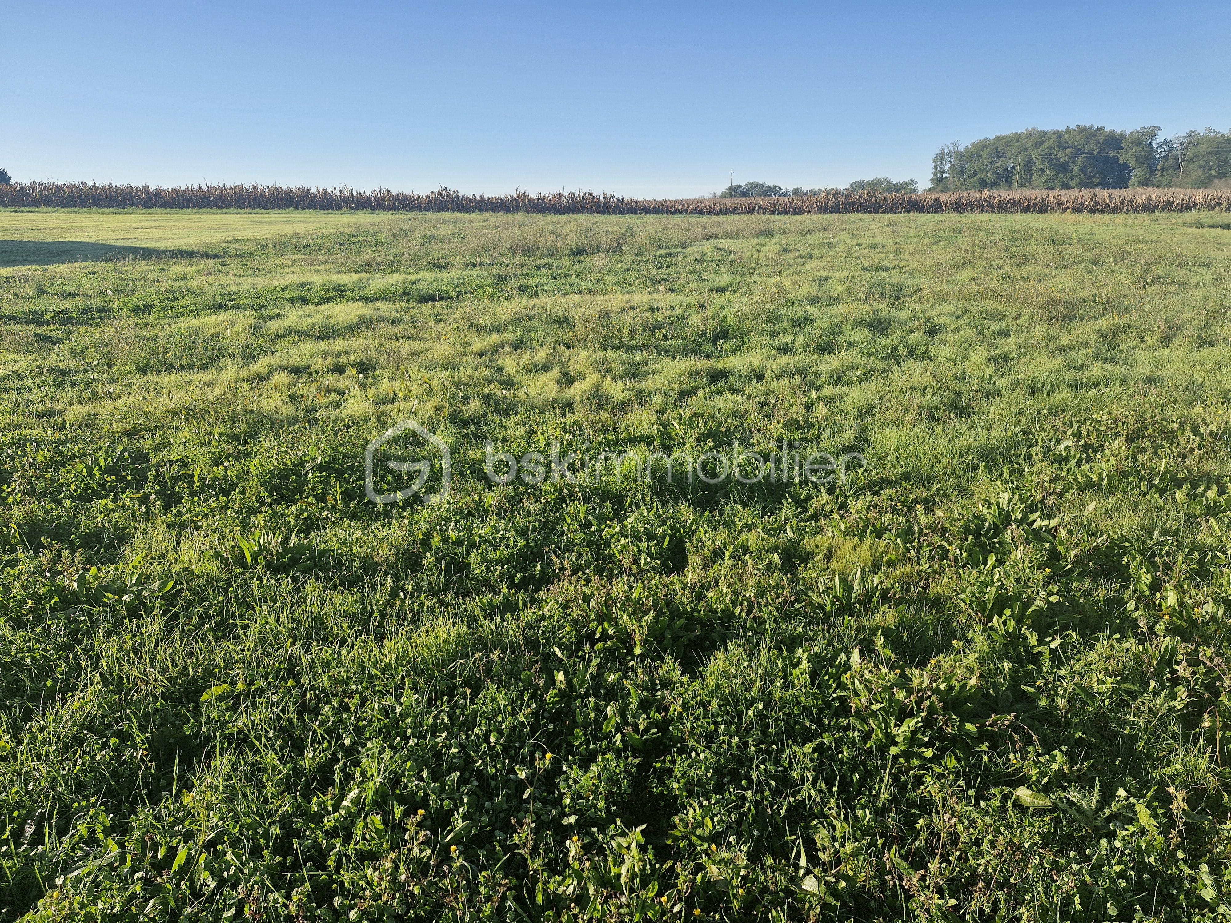 Terrain de 1 664 m² - 20241115_094347.jpg