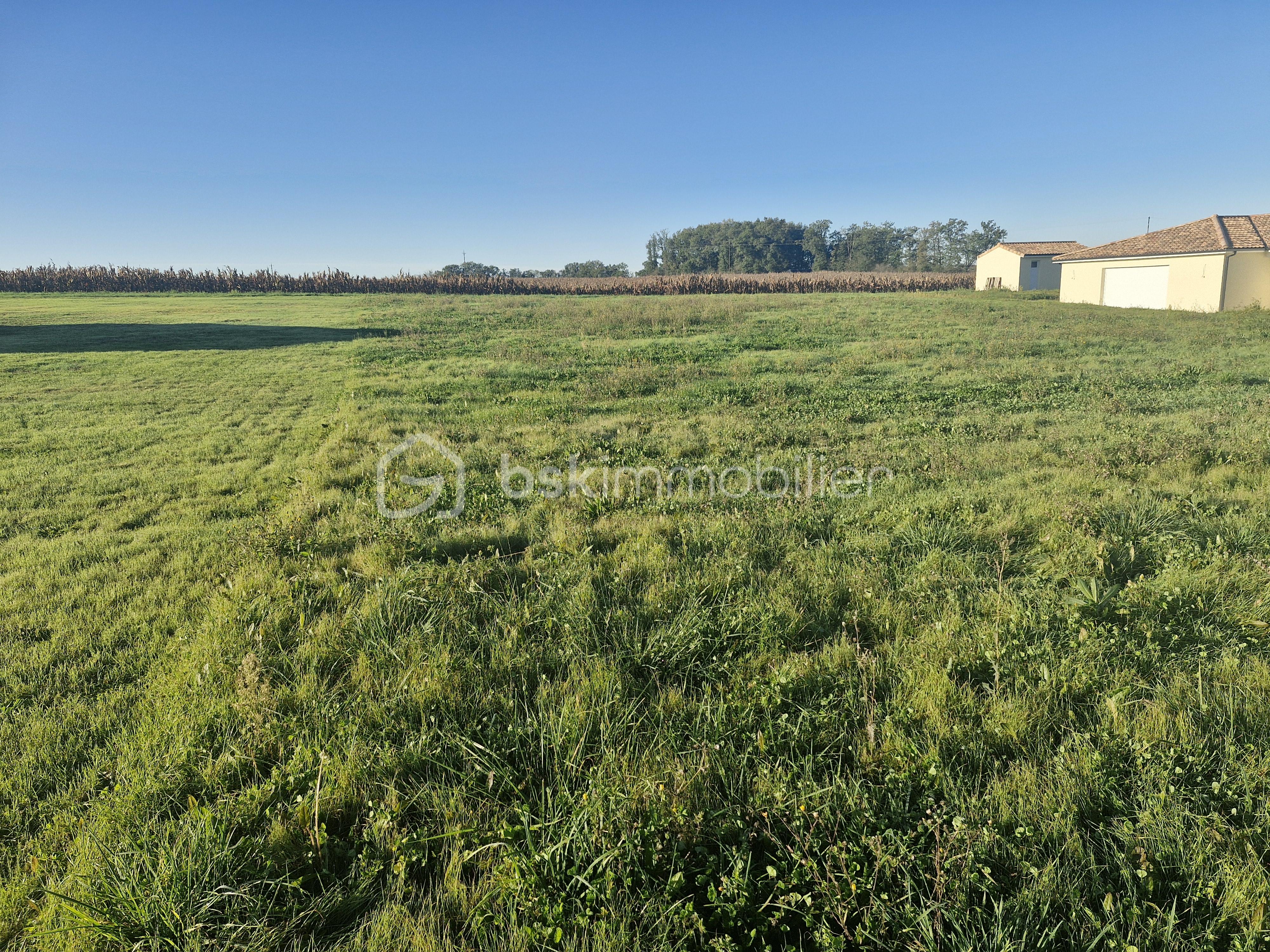 Terrain de 1 664 m² - 20241115_094409.jpg