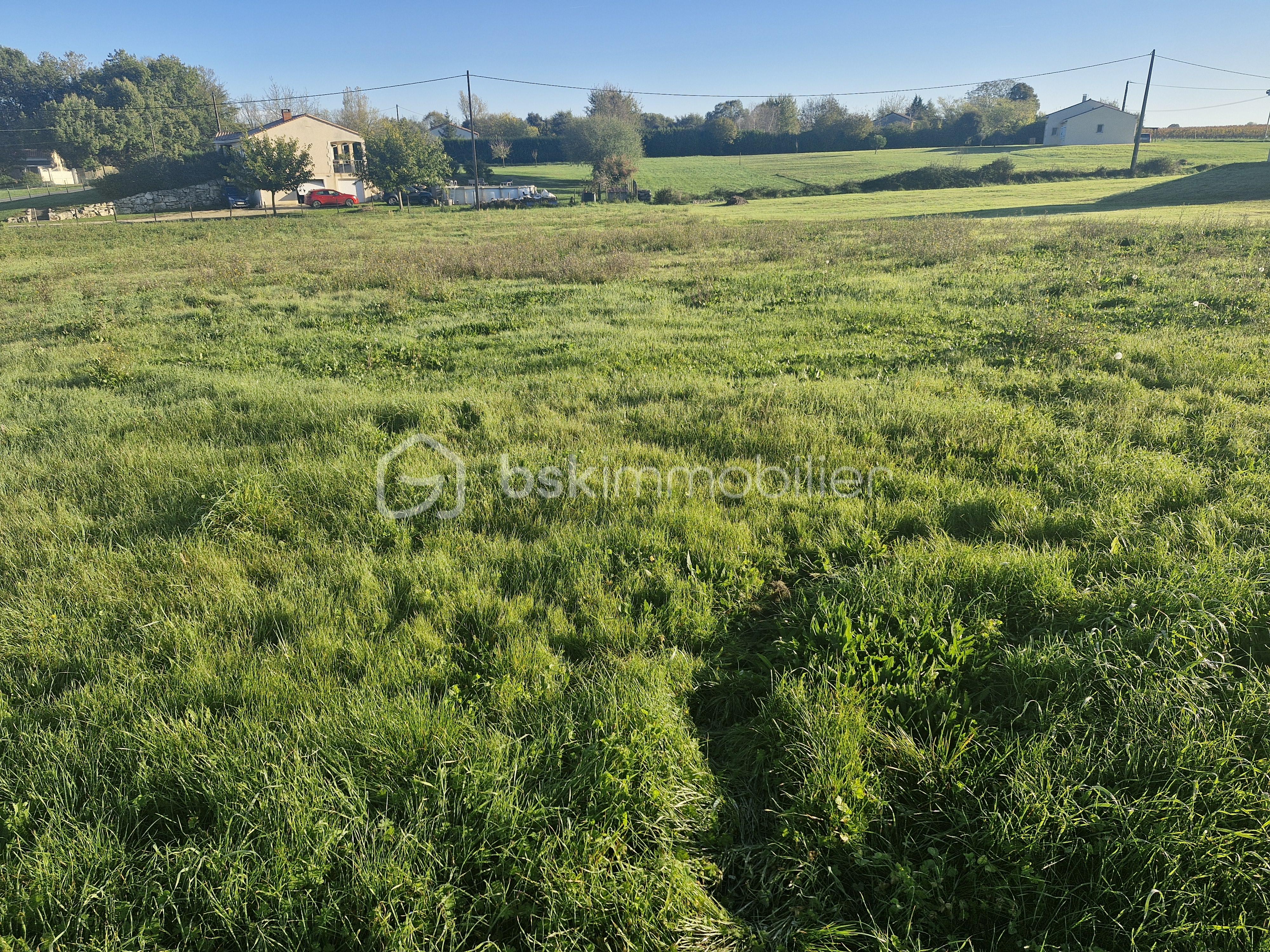 Terrain de 1 664 m² - 20241115_094302.jpg
