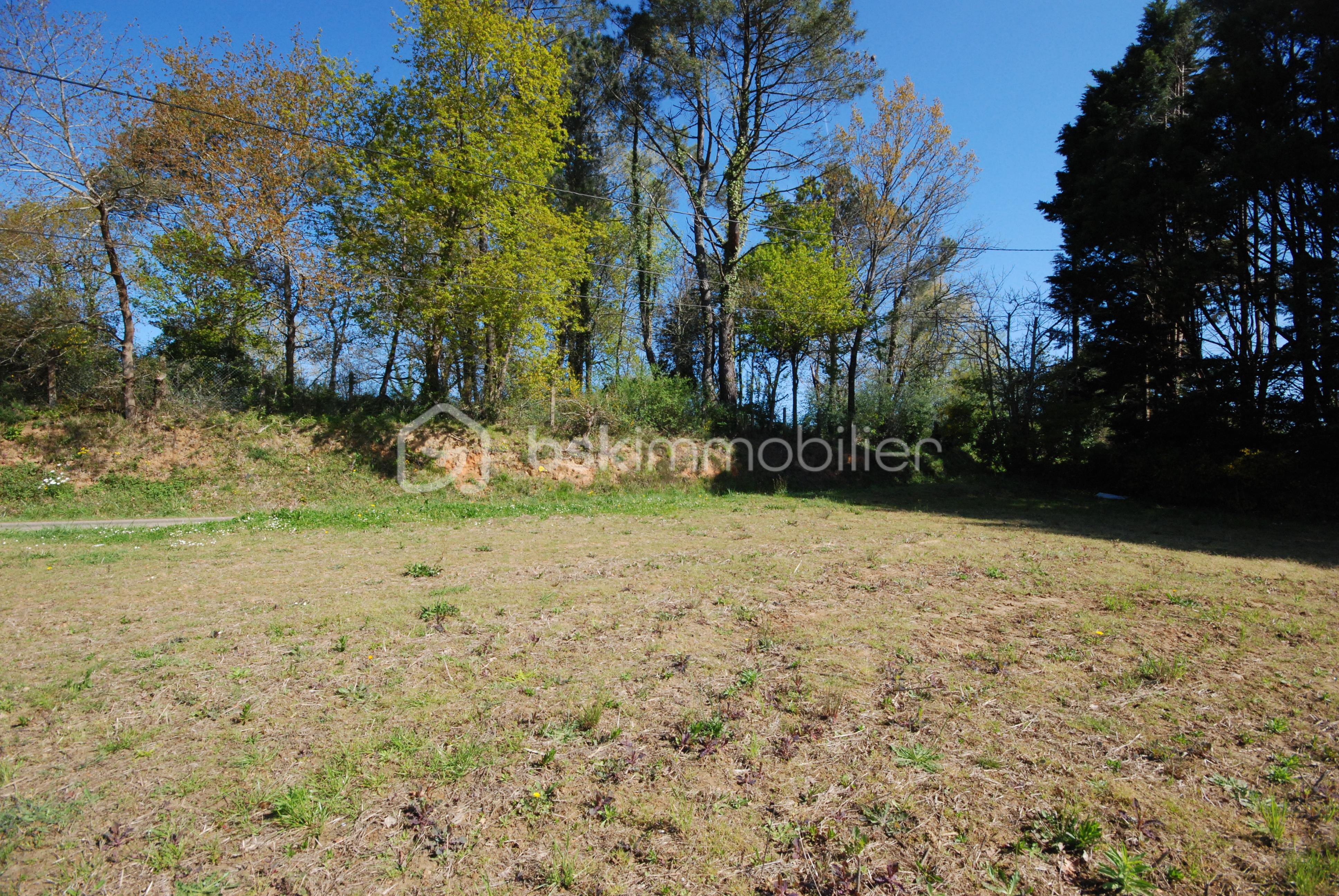 terrain gaas 2-2.JPG