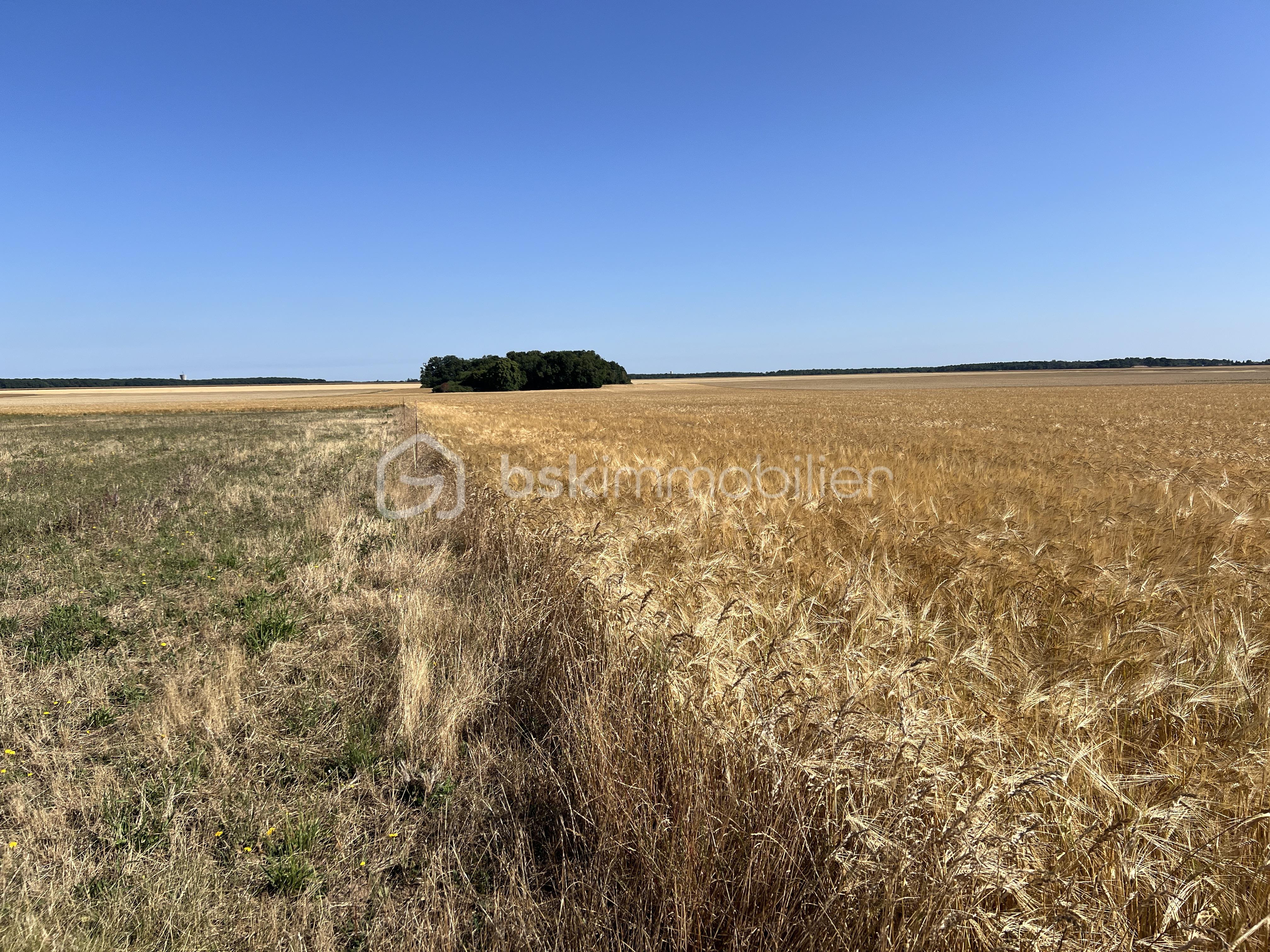 Terrain de 1 077 m² - NICOLAS VAN DE WALLE BSKIMMOBILIER BOISSY EN DROUAIS .JPG