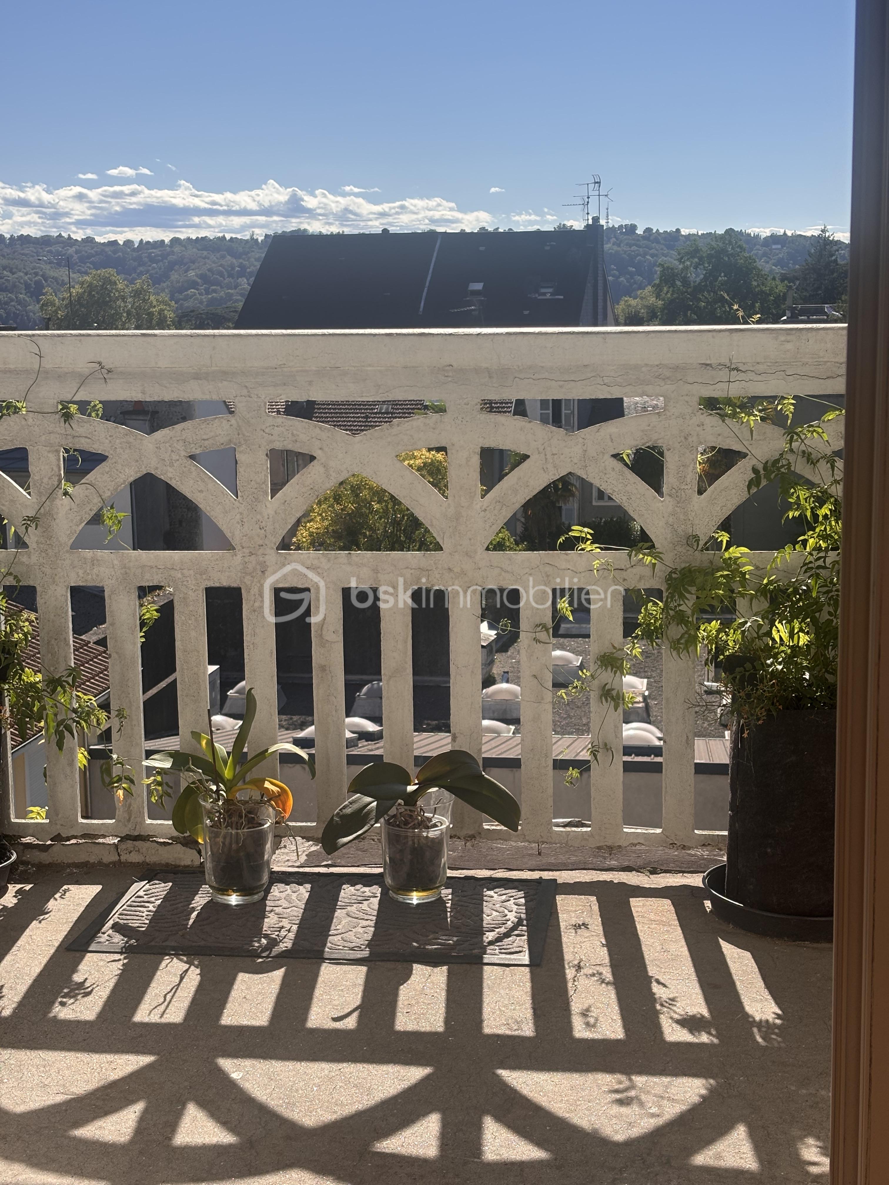 IMG_2302.jpeg