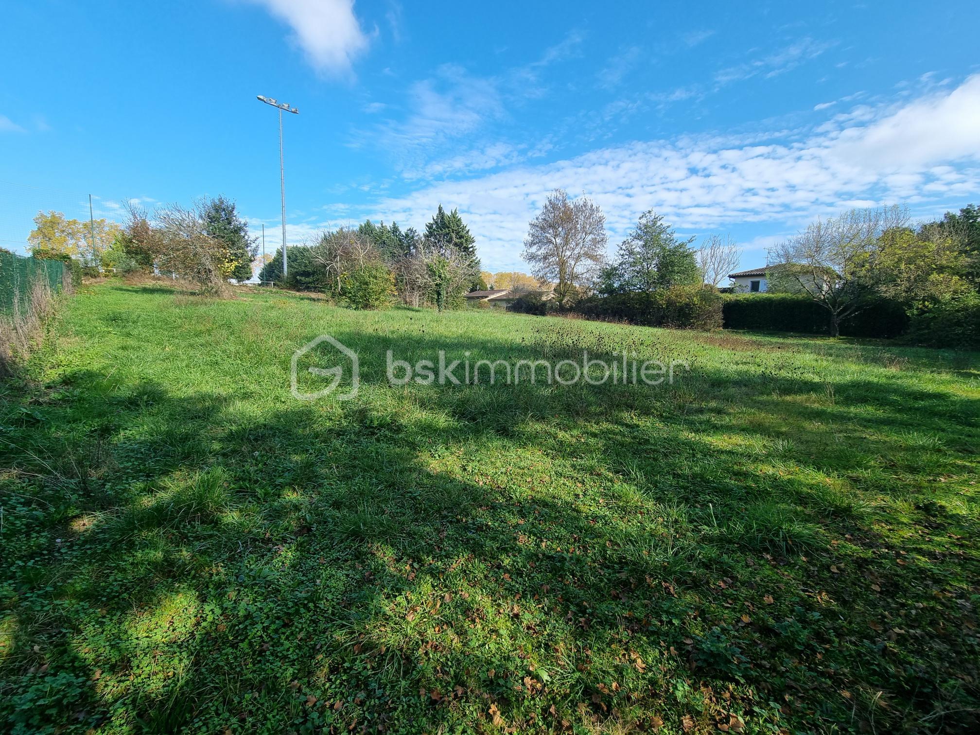 Terrain de 2 000 m² - 20241106_135253.jpg