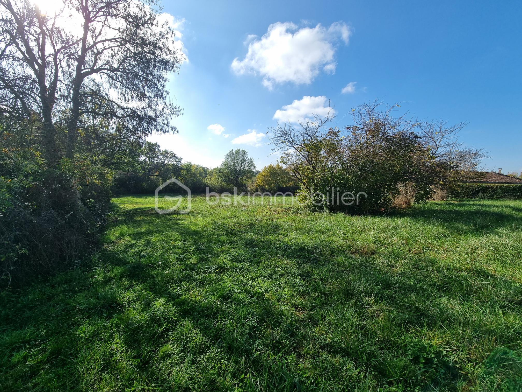 Terrain de 2 000 m² - 20241106_134909.jpg