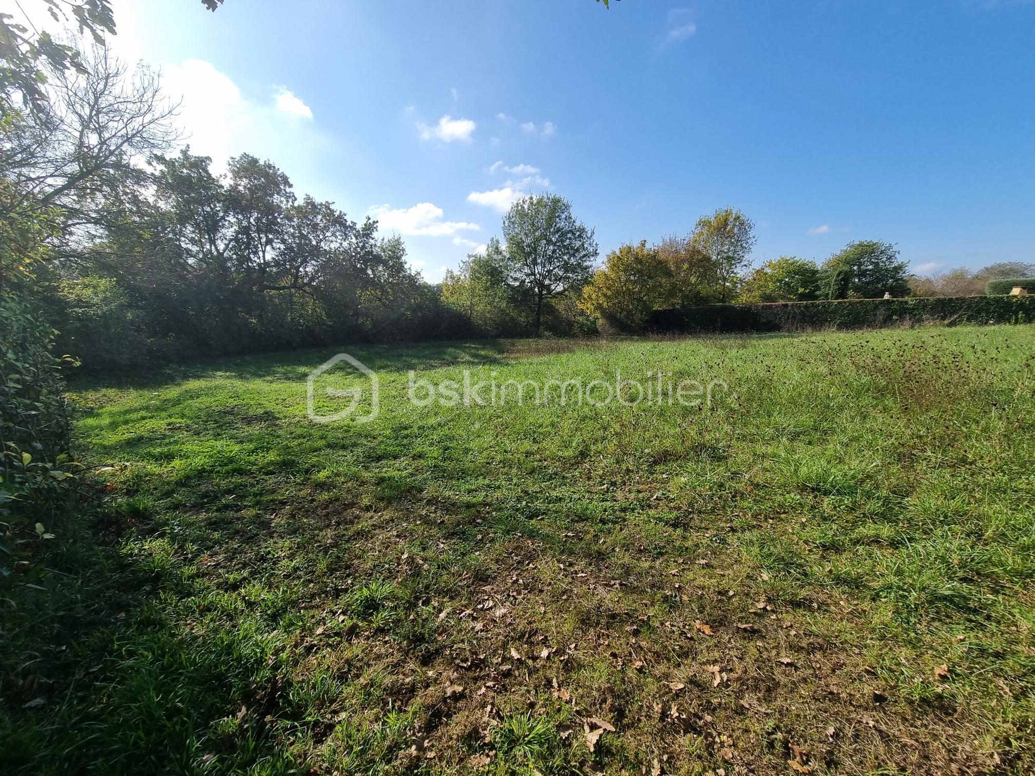 Terrain de 2 000 m² - 20241106_135203.jpg