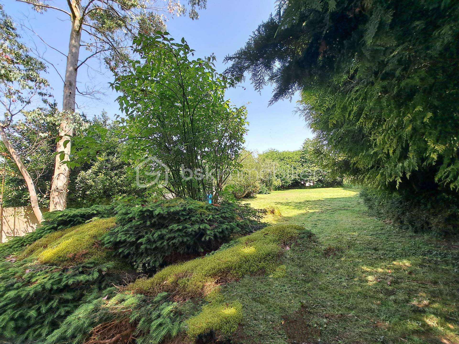 jardin 2.jpg