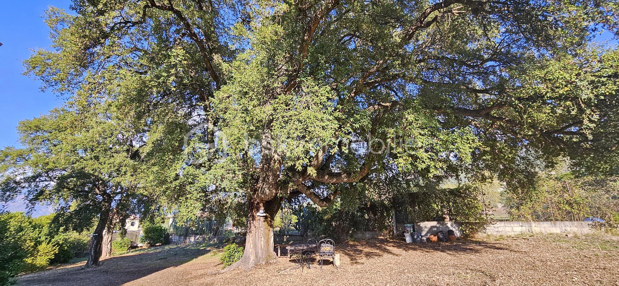 Maison de 157 m² - AB.jpg