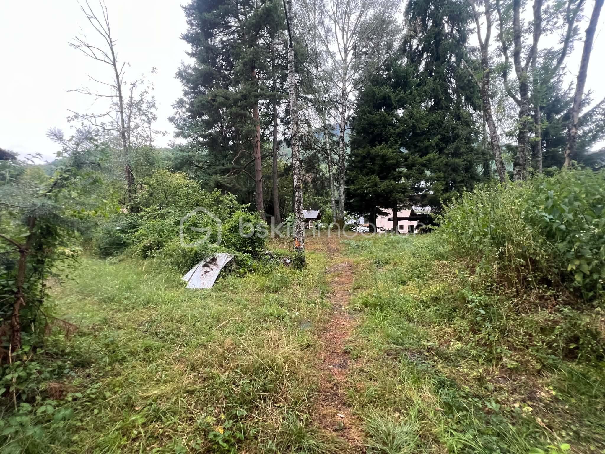 osvEwumG.jpg