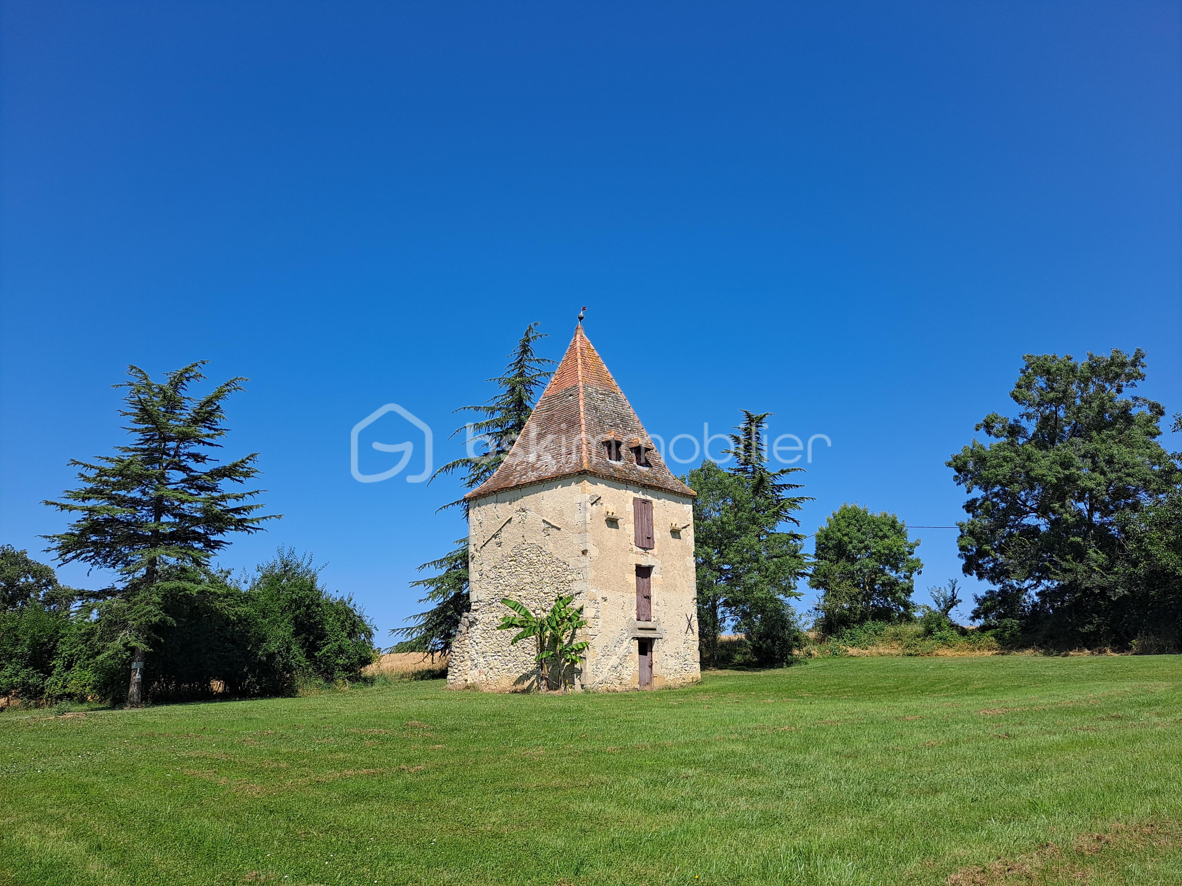 Chateau de 520 m² - 24 - Chateau Gers (81).jpg