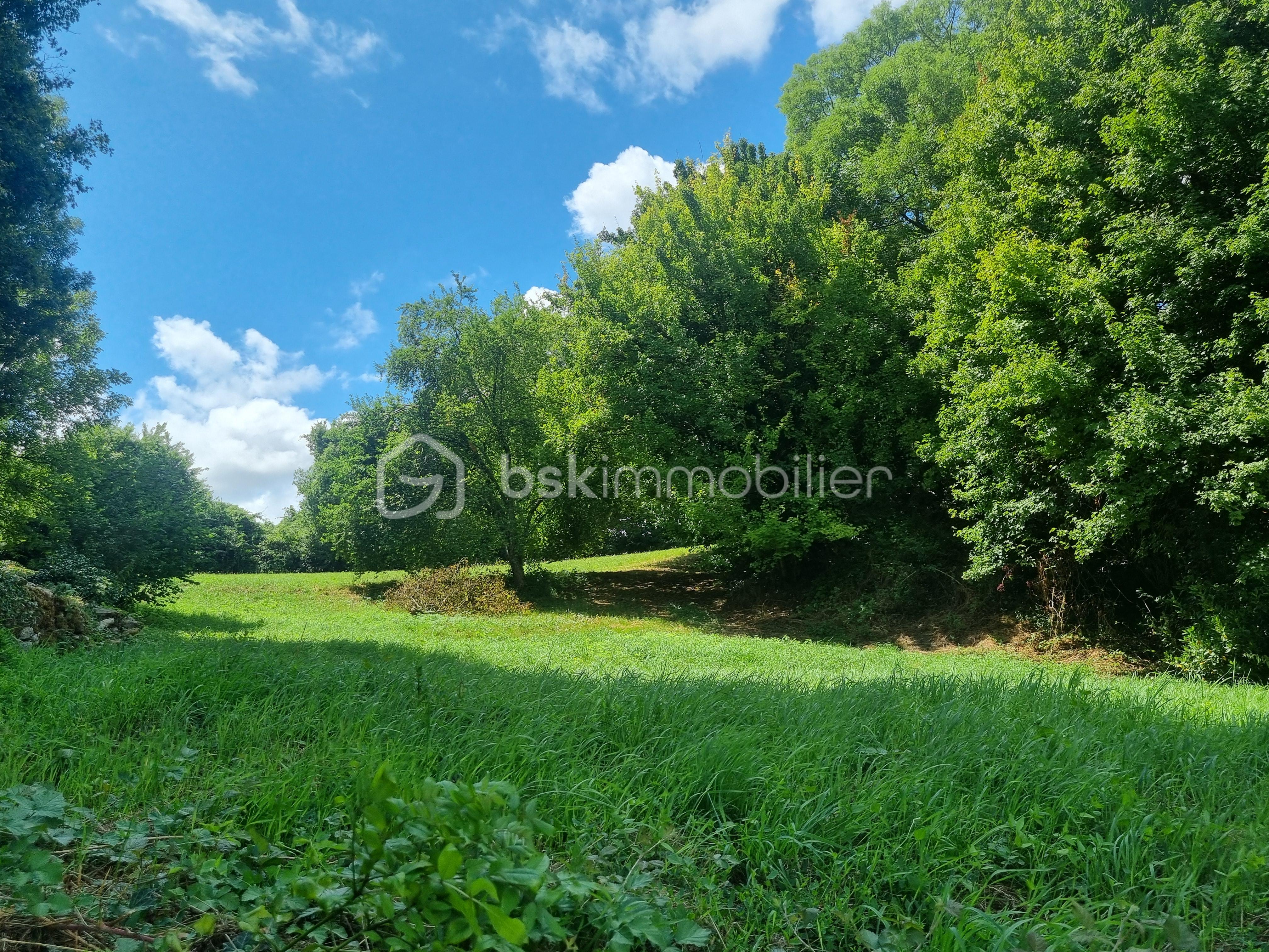 Maison en pierre de 88 m² - 20250730_134452.jpg
