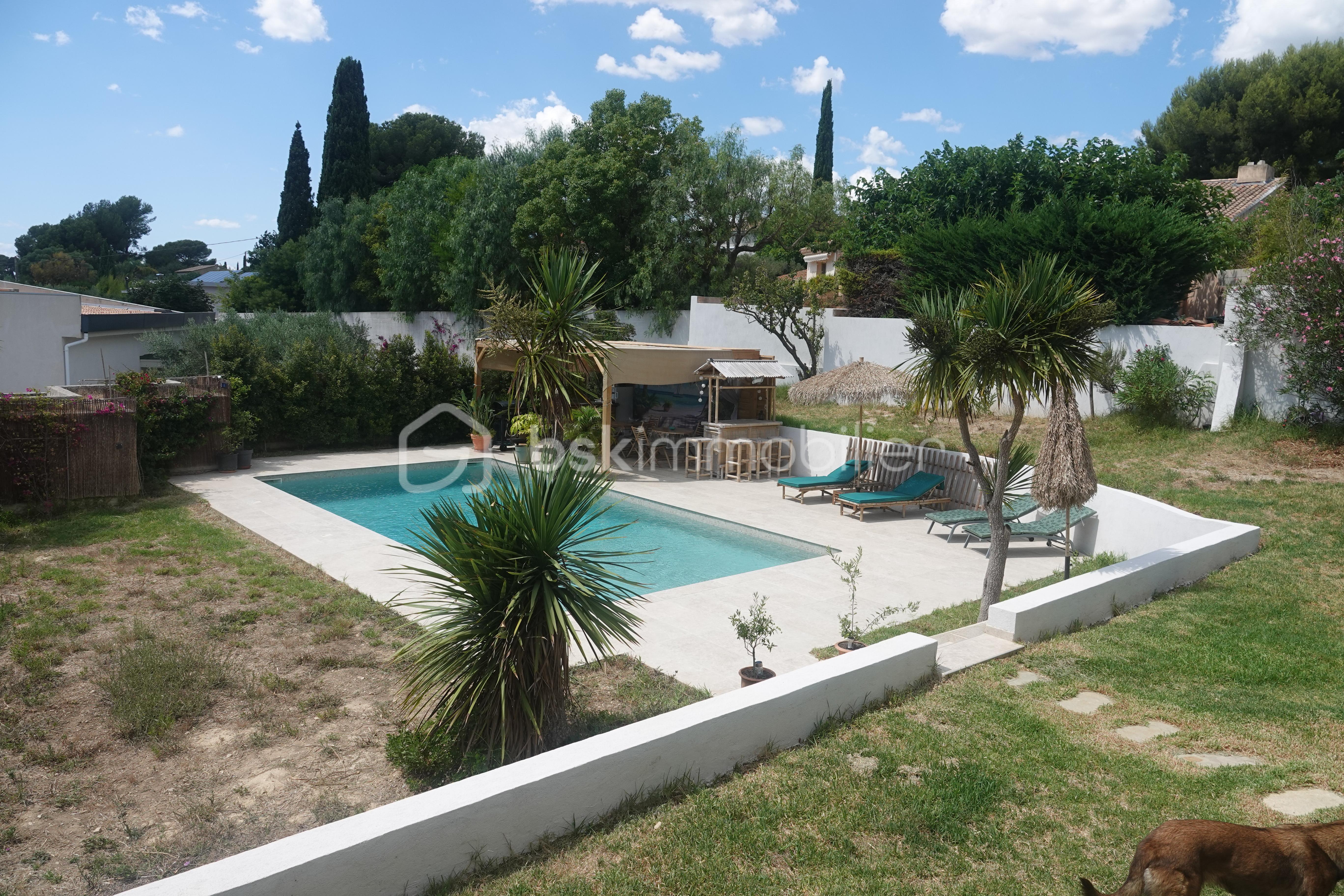PISCINE ET CHIEN.JPG